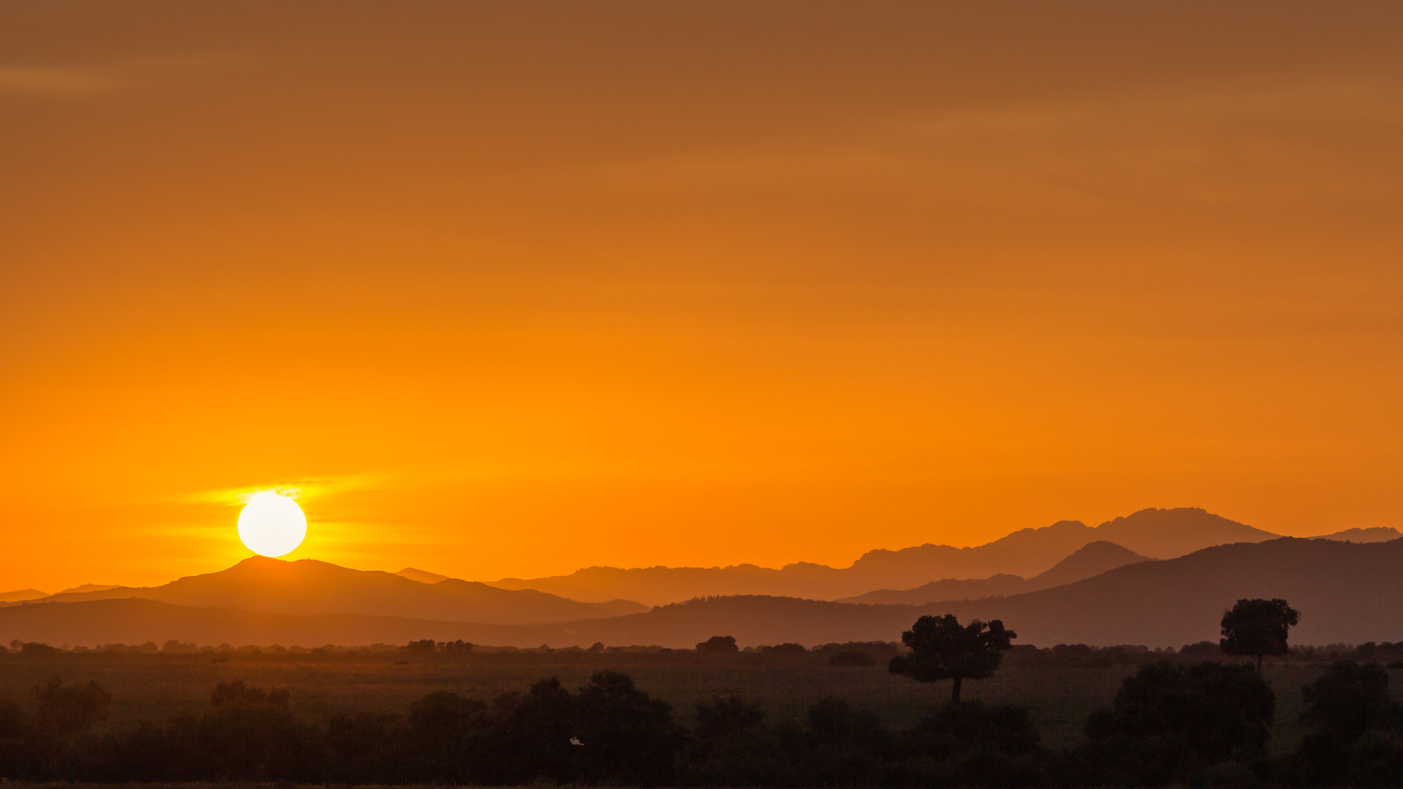 Canon EOS 650D (EOS Rebel T4i / EOS Kiss X6i) + Canon EF 24-105mm F4L IS USM sample photo. Siluetas al atardecer photography