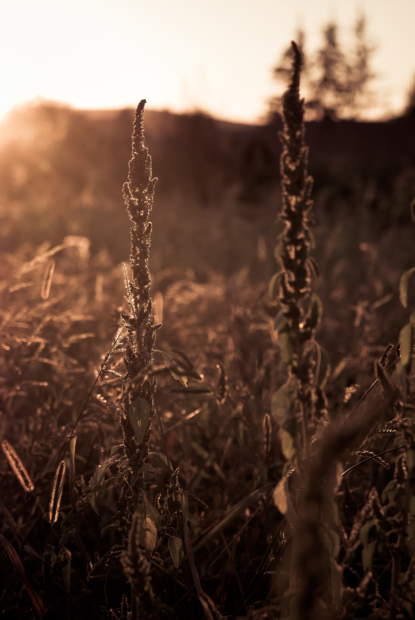 Nikon D80 sample photo. Sunset photography