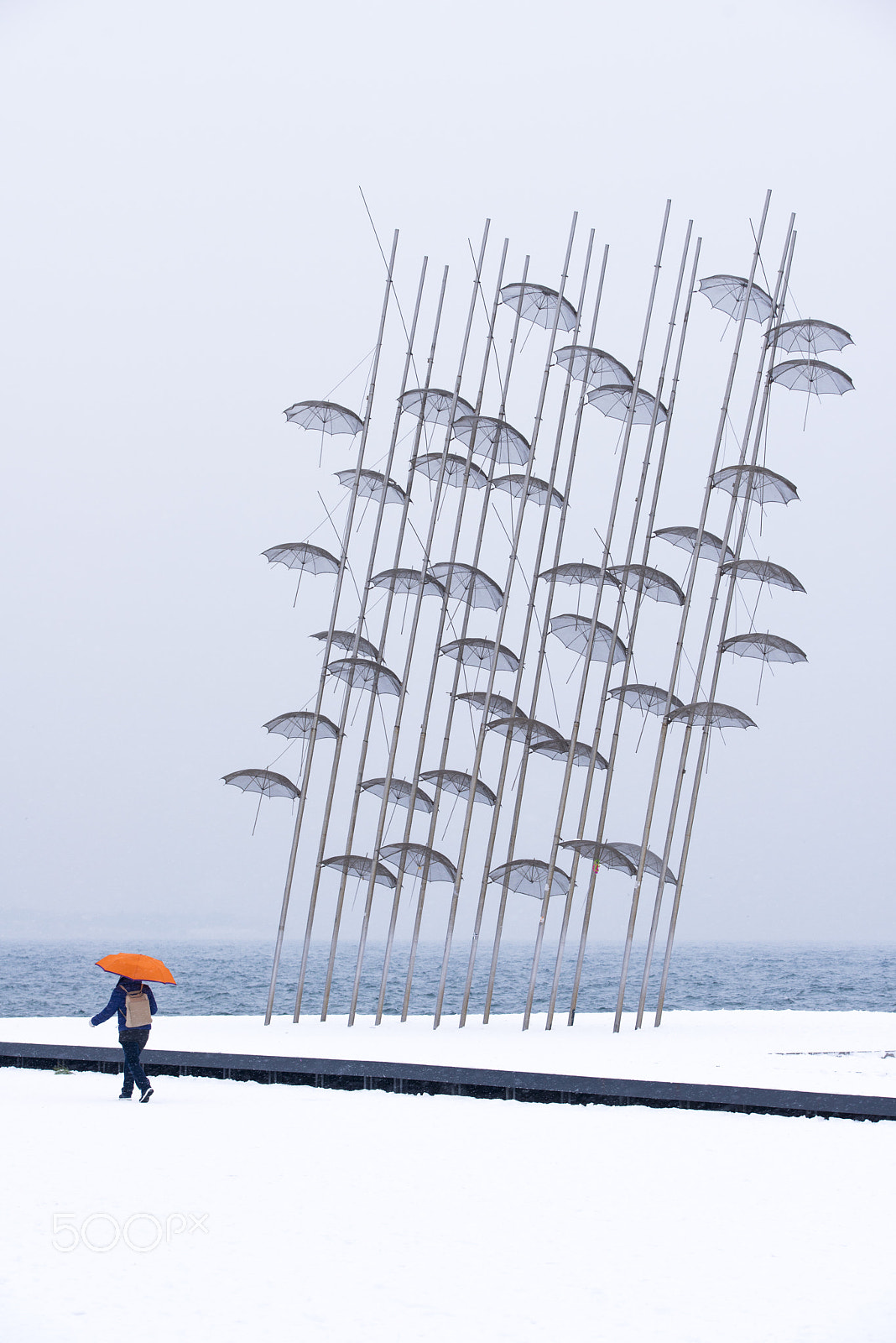 Nikon D800 sample photo. Umbrella under the umbrellas photography