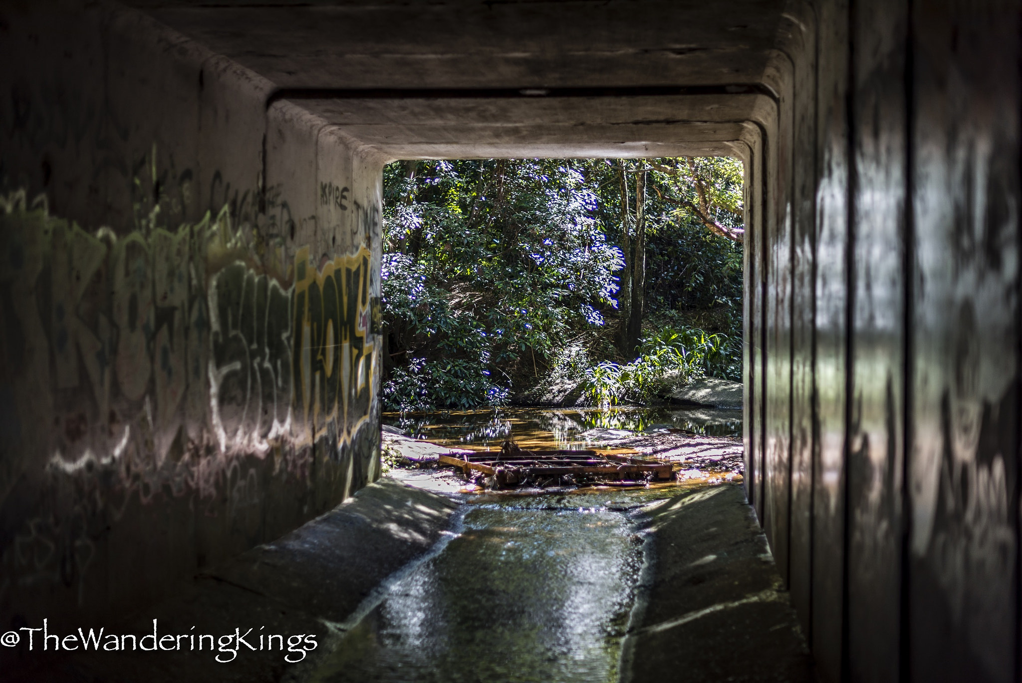 Nikon D810 + Nikon AF-S Nikkor 50mm F1.4G sample photo. Love tunnels photography