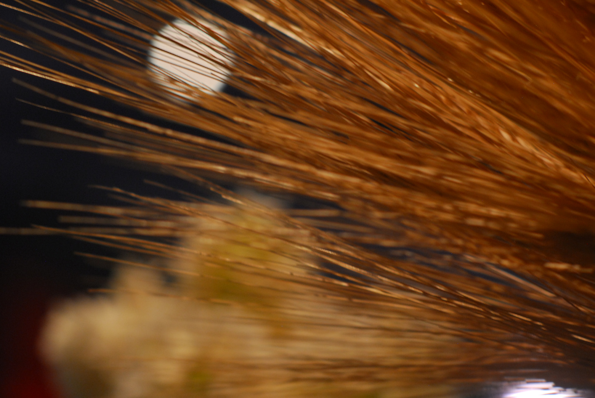 Nikon D200 + Manual Lens No CPU sample photo. Wheat photography