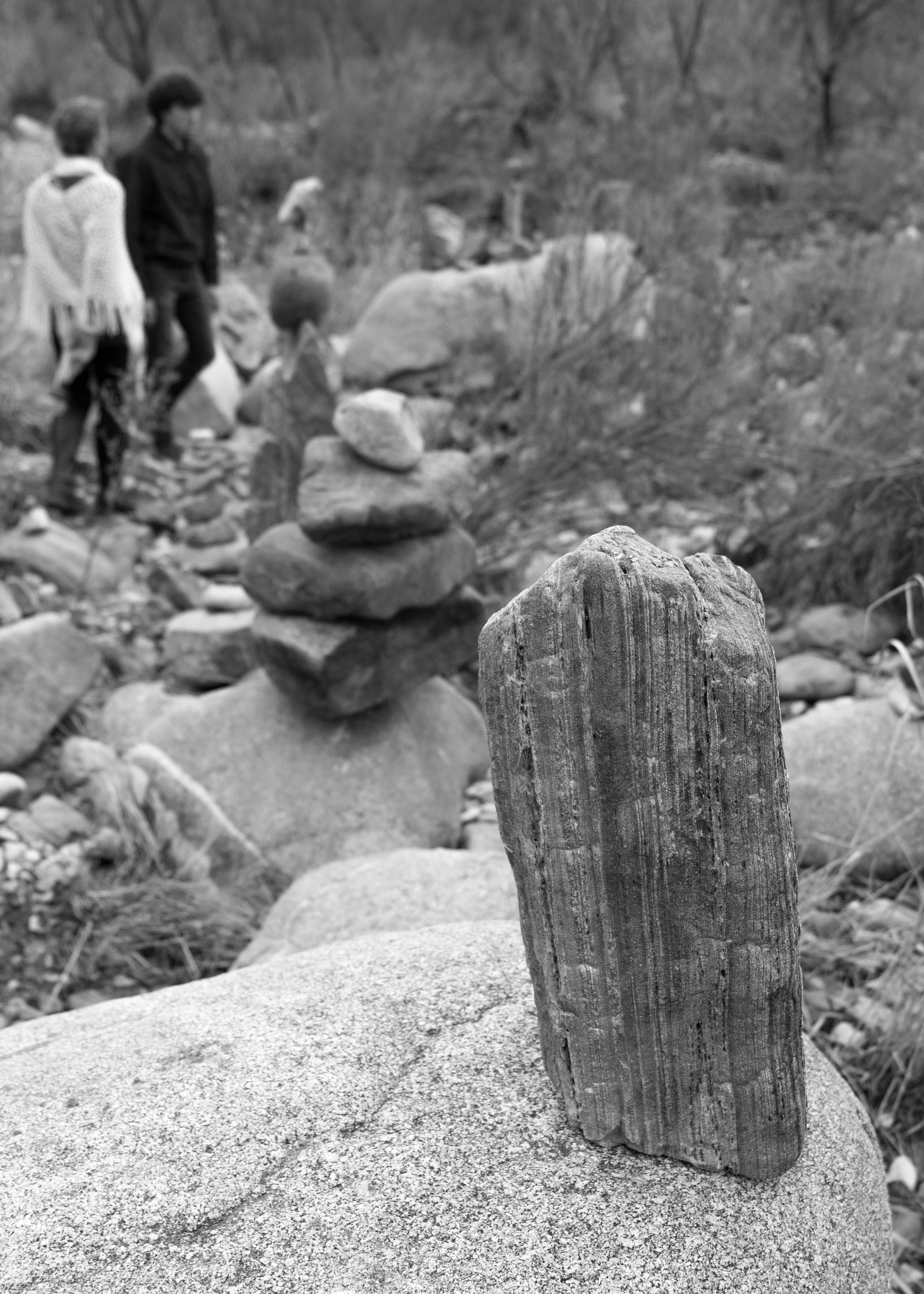 Canon EF 24-70mm F4L IS USM sample photo. Careful in black and white photography