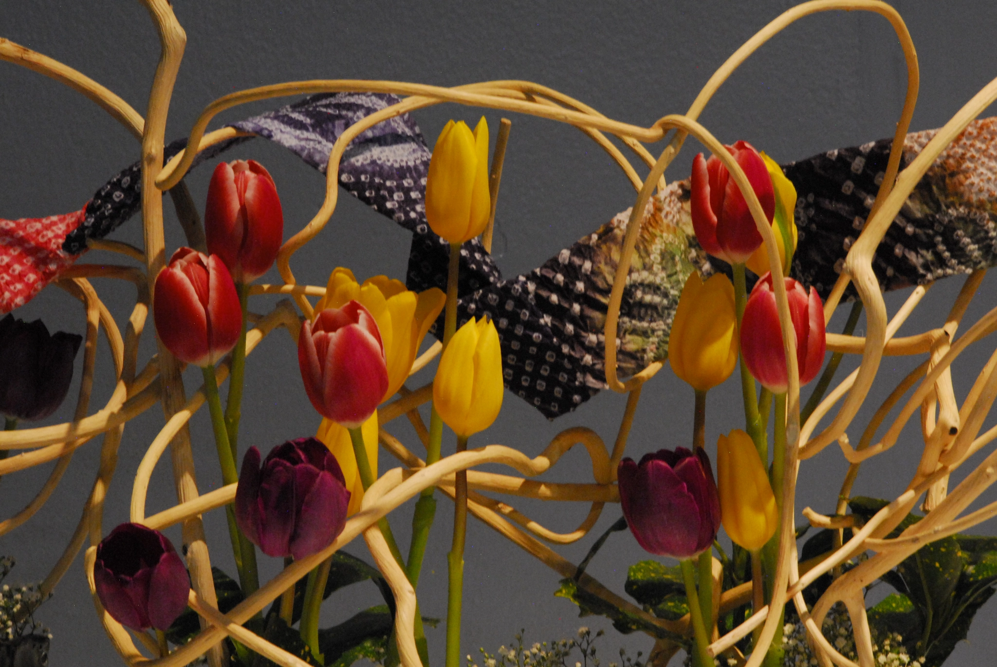 Nikon D200 + Manual Lens No CPU sample photo. Tulip collage photography