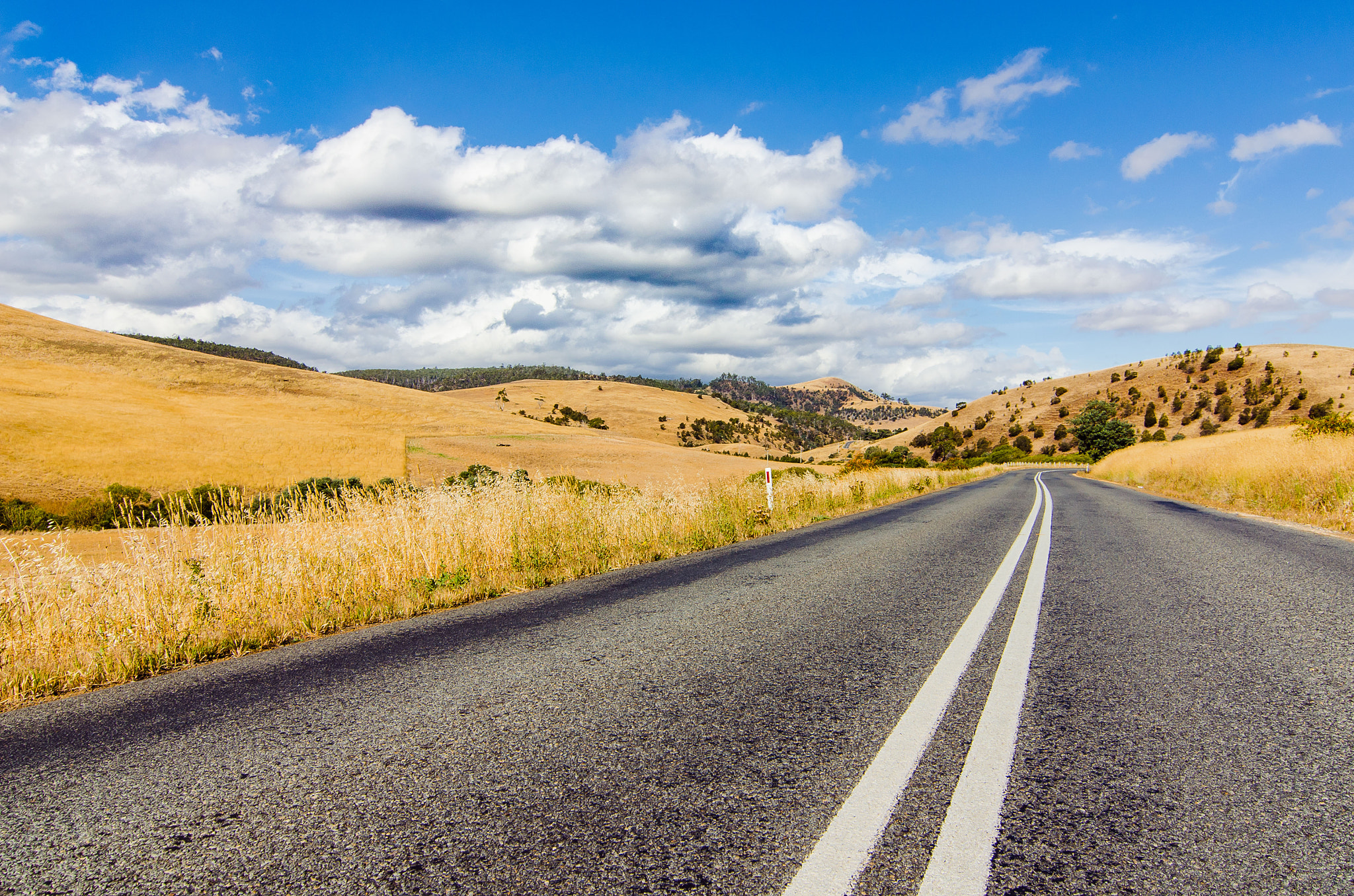 Tokina AT-X Pro 11-16mm F2.8 DX sample photo. On the road photography