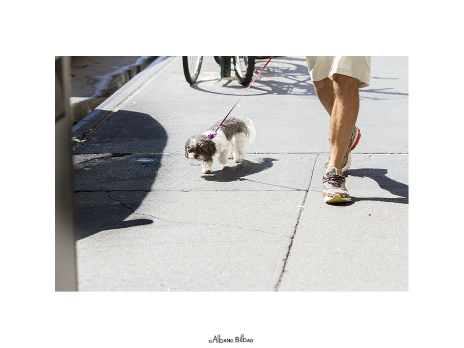 Canon EOS 7D + Canon EF 70-200mm F4L IS USM sample photo. Siempre a tu lado. photography