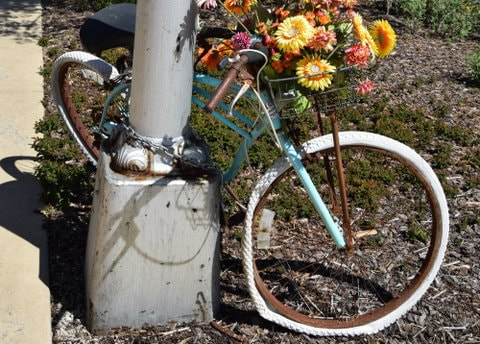 Nikon D3300 + Nikon AF-S DX Nikkor 18-200mm F3.5-5.6G ED VR II sample photo. Bicycle with flowers photography