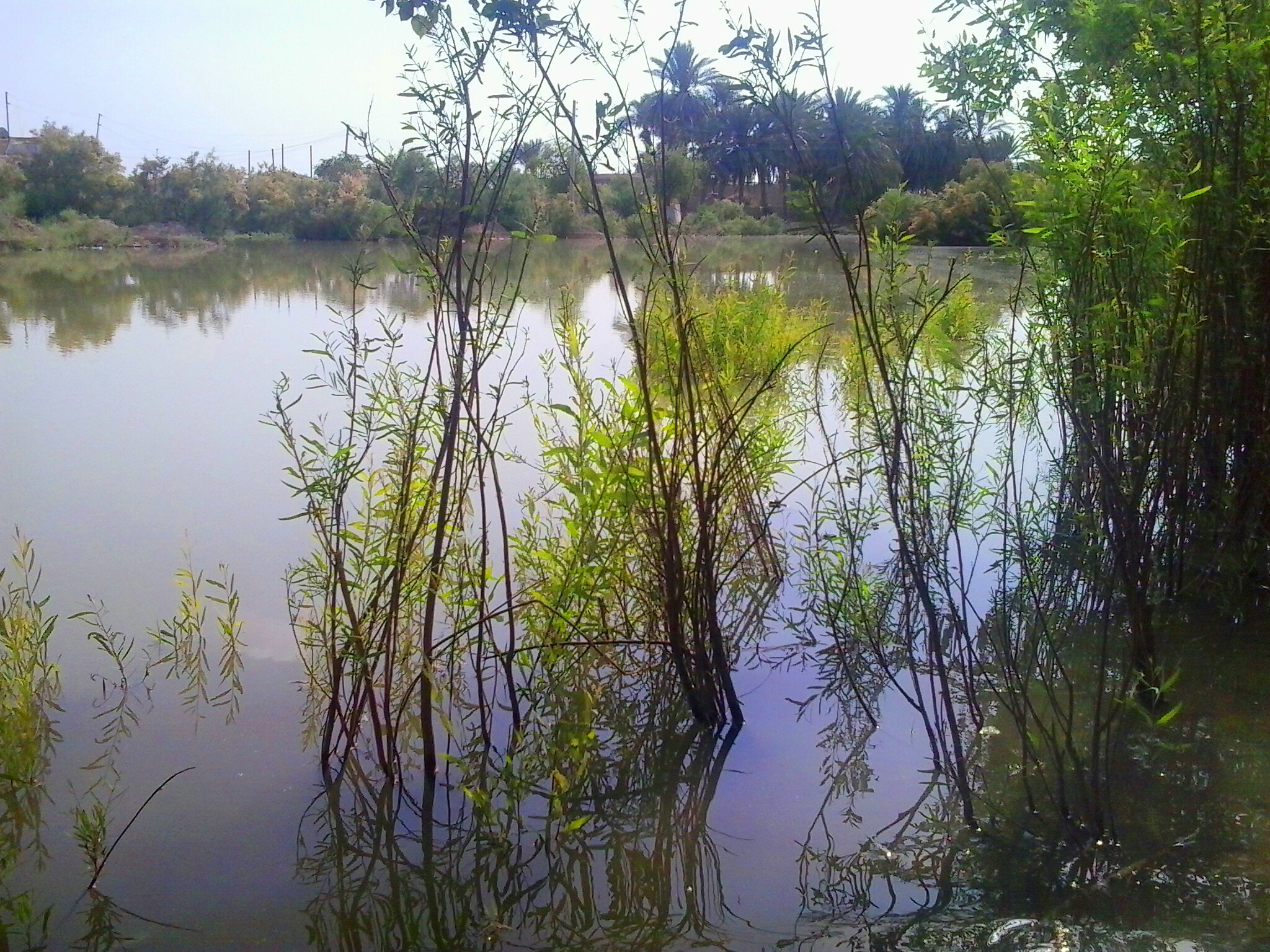 Samsung Galaxy Young sample photo