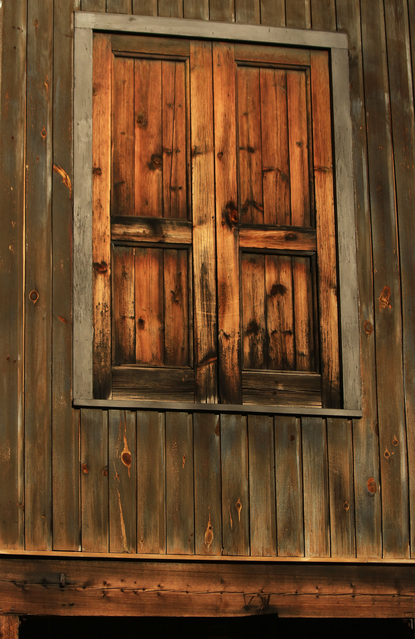 Canon EF 70-300mm F4-5.6 IS USM sample photo. The secret door photography