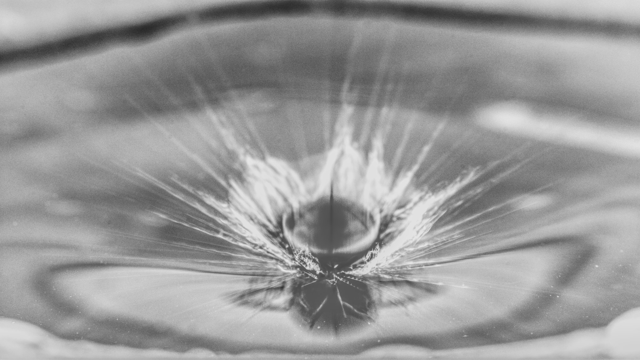 Pentax K-3 sample photo. B&w drop photography