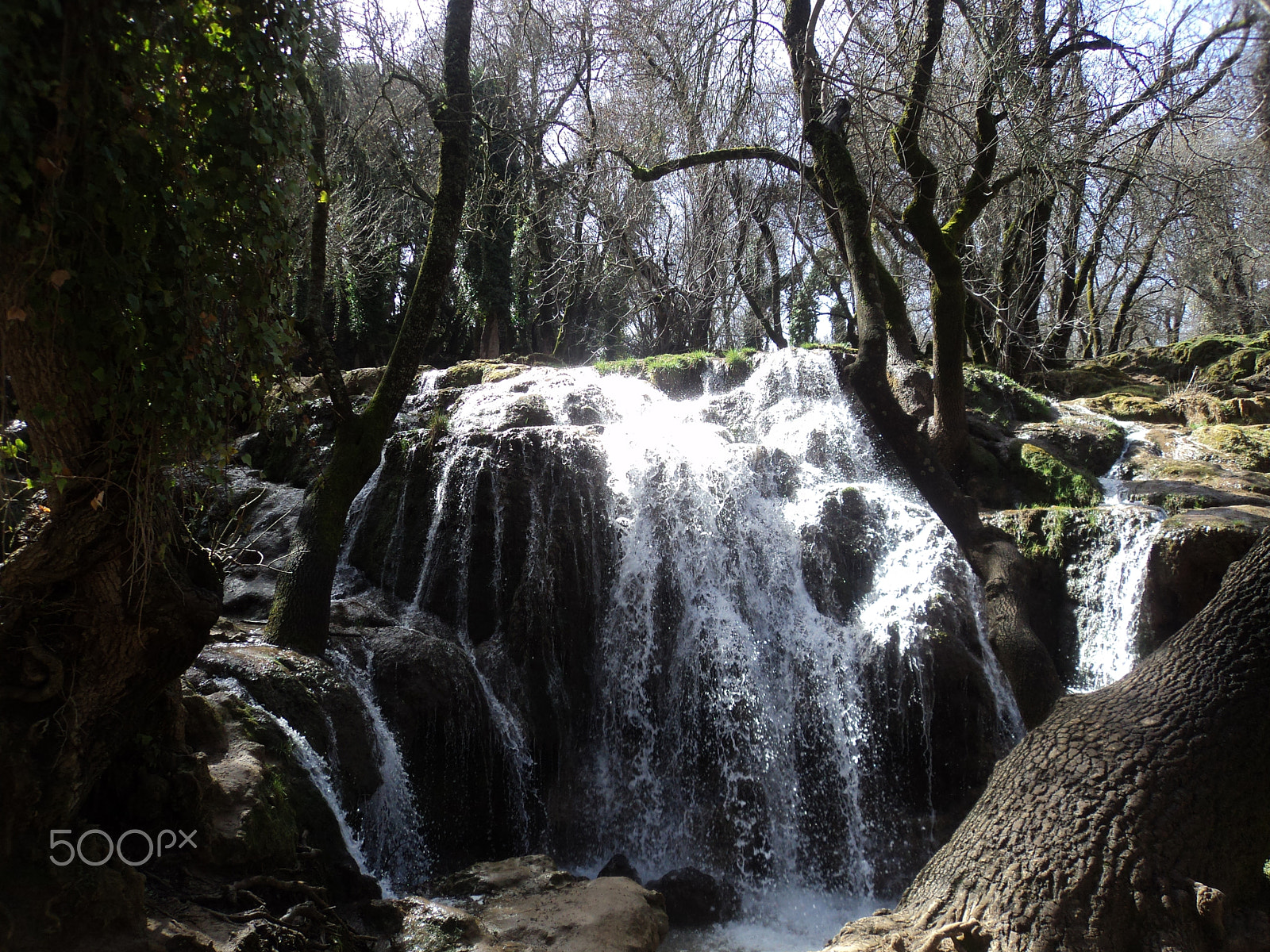 Sony Cyber-shot DSC-W310 sample photo. Ifrane photography