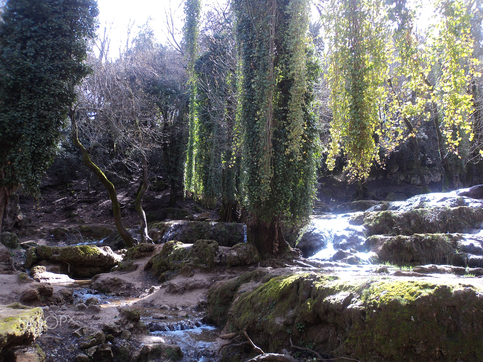 Sony Cyber-shot DSC-W310 sample photo. Ifrane photography