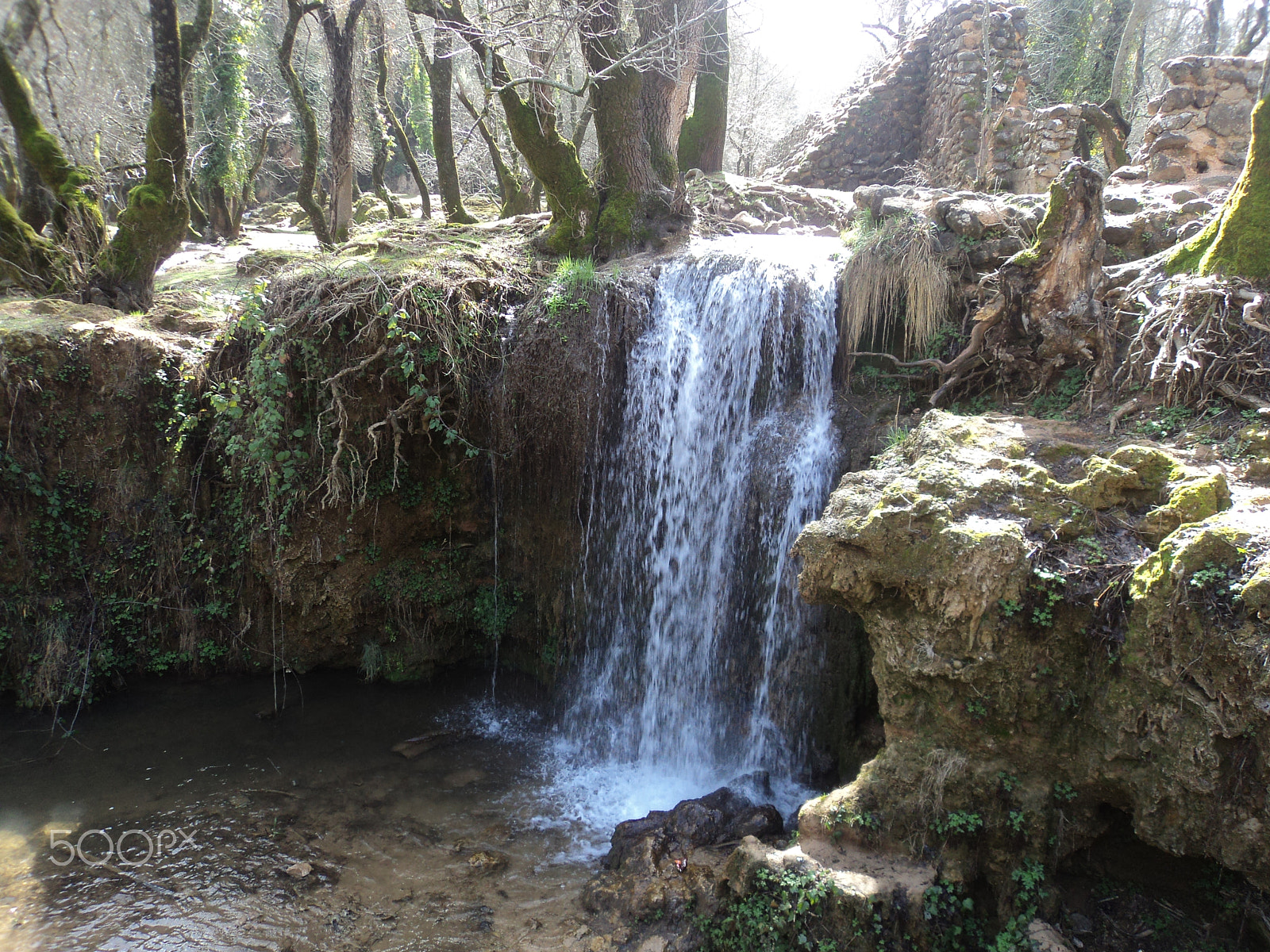 Sony Cyber-shot DSC-W310 sample photo. Ifrane photography