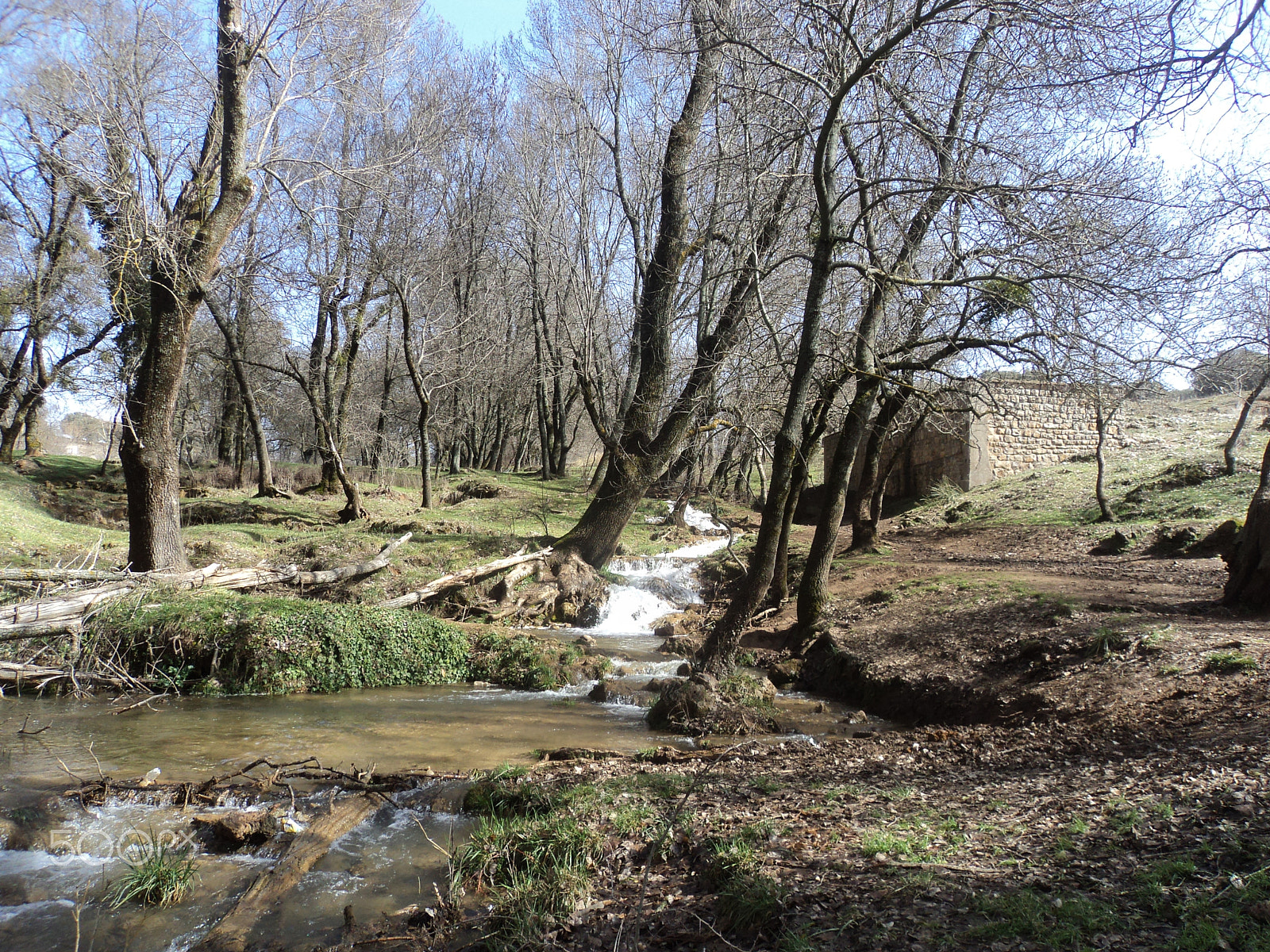 Sony Cyber-shot DSC-W310 sample photo. Ifrane photography