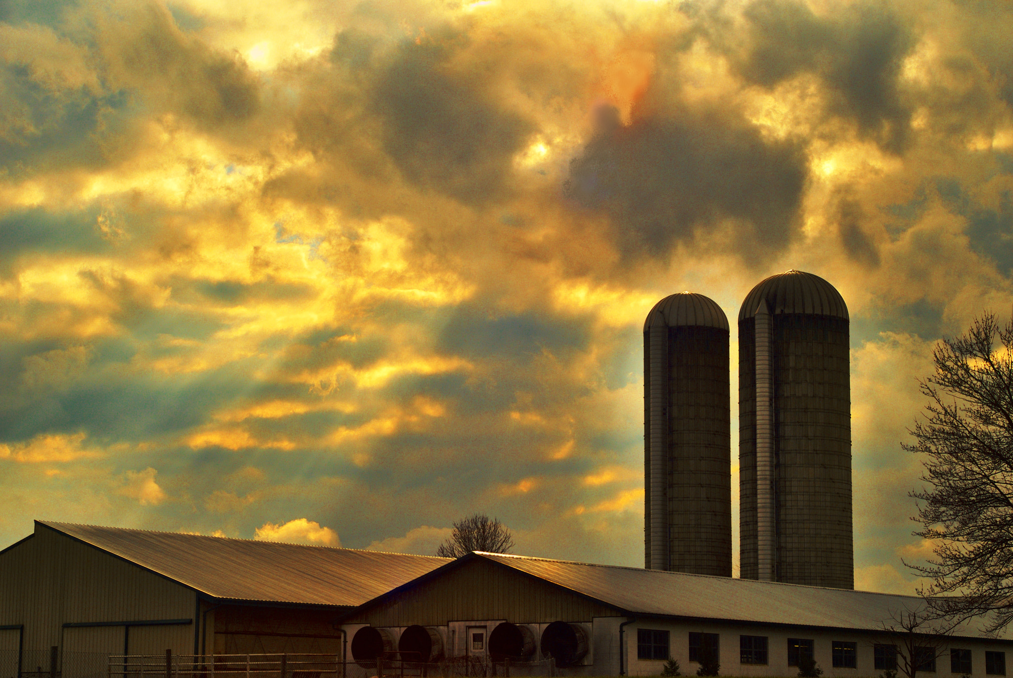 Nikon D200 + Manual Lens No CPU sample photo. Silos photography