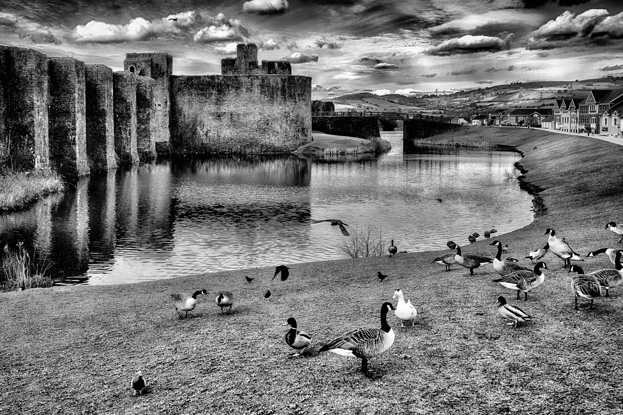Sony Cyber-shot DSC-RX1 + 35mm F2.0 sample photo. Caerphilly photography