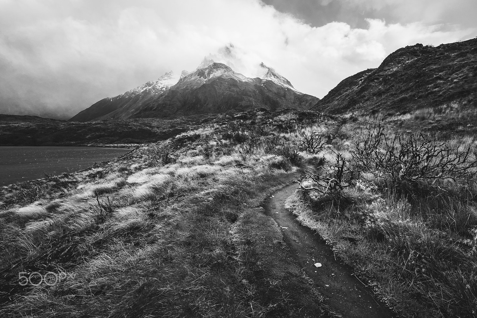 20mm F2.8 sample photo. Belleza patagonica en b&n photography