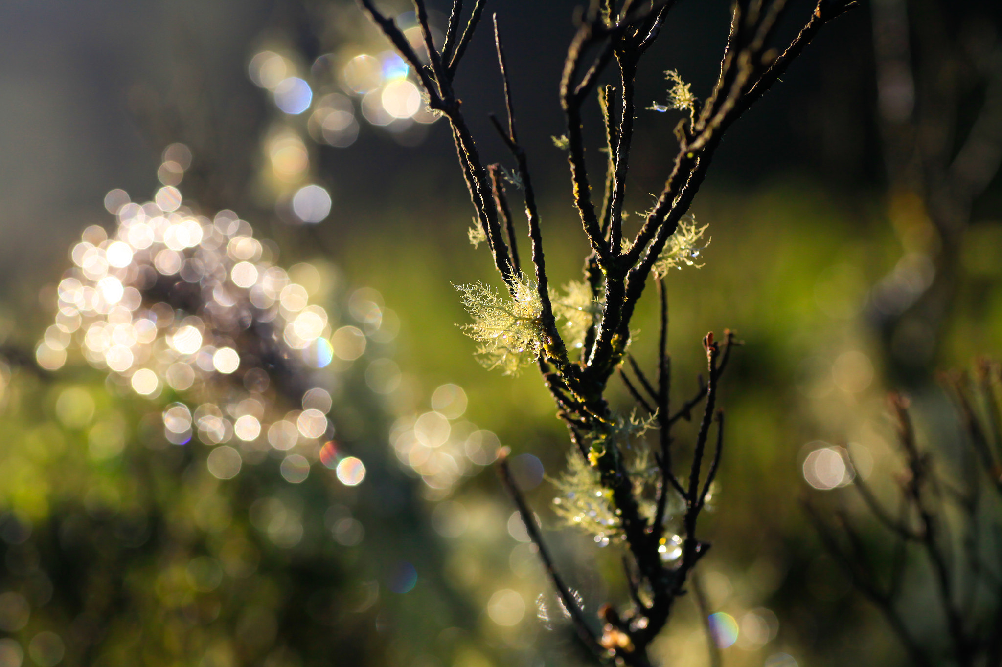 Canon EOS 5D Mark II sample photo. Valle nuevo photography