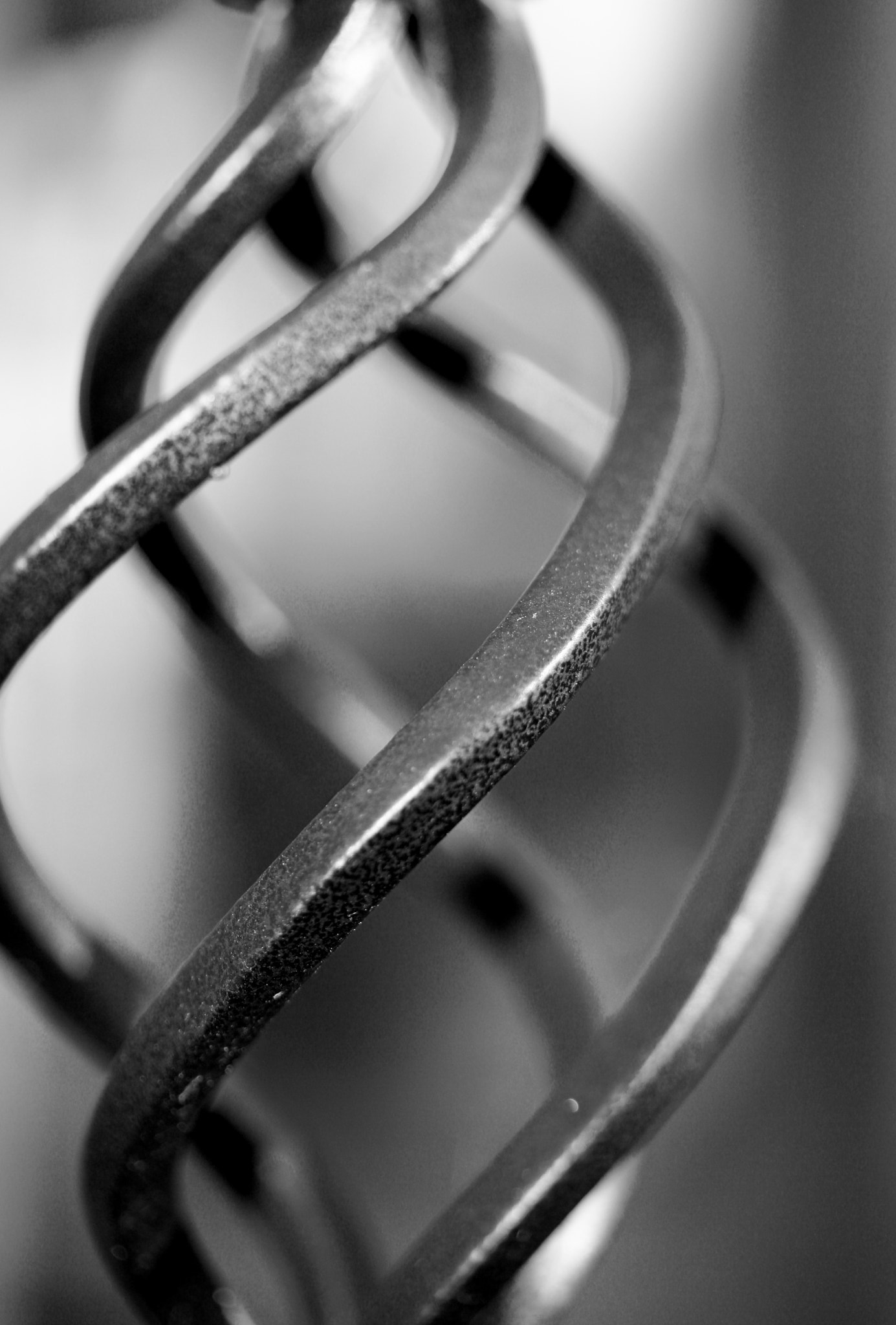 Canon EOS 1000D (EOS Digital Rebel XS / EOS Kiss F) sample photo. Twisted photography