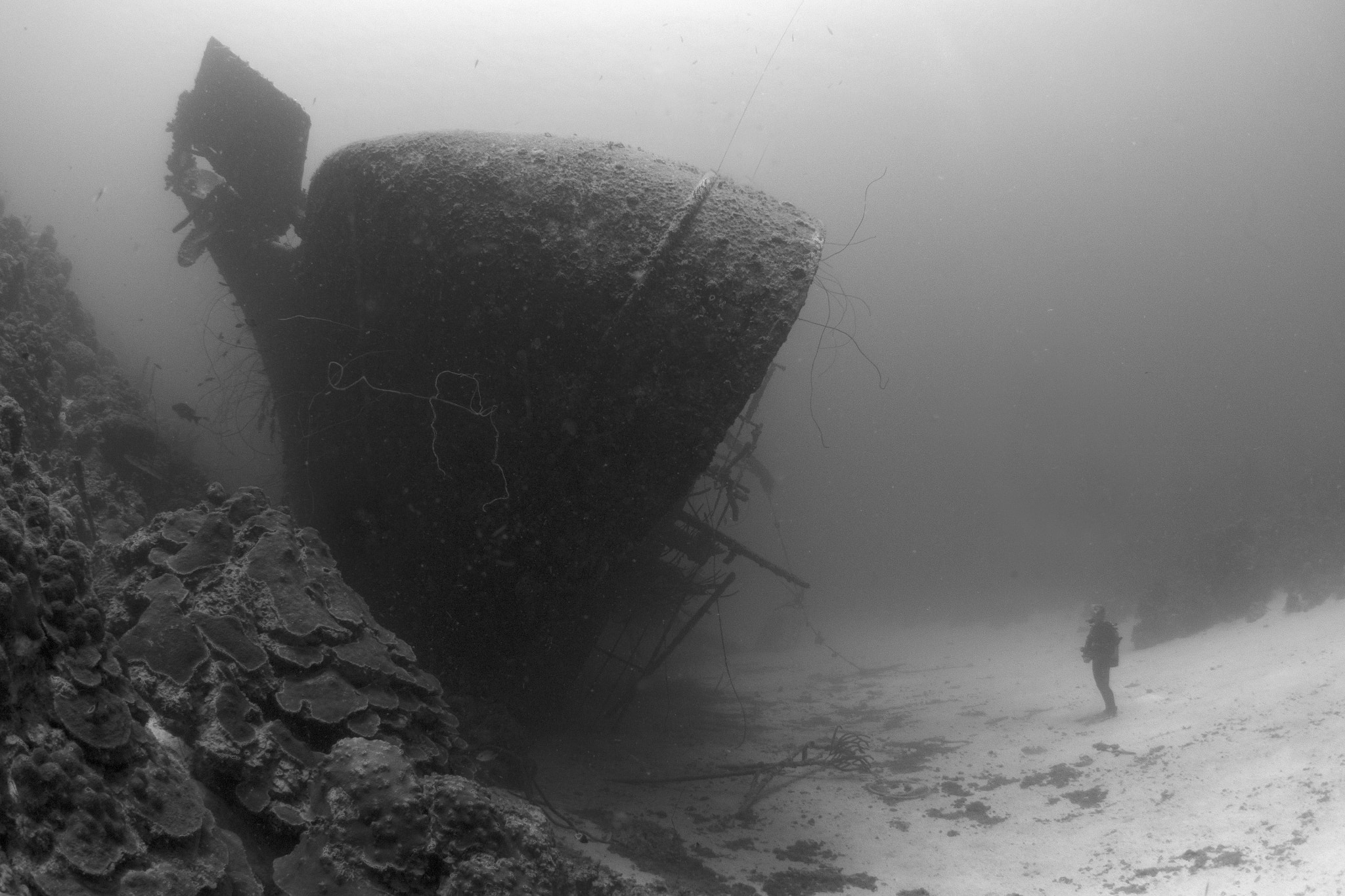 LUMIX G FISHEYE 8/F3.5 sample photo. Wreck "hilma hooker" photography