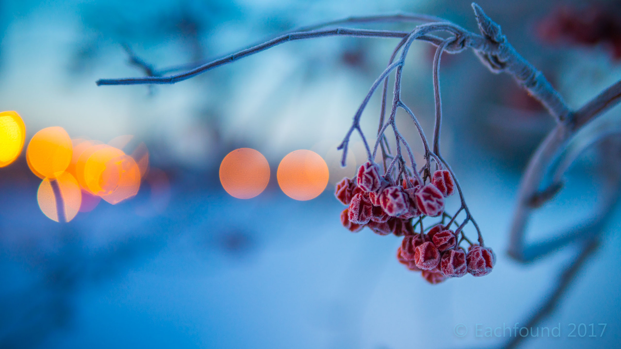 Sony a6300 + 30mm F1.4 DC DN | Contemporary 016 sample photo