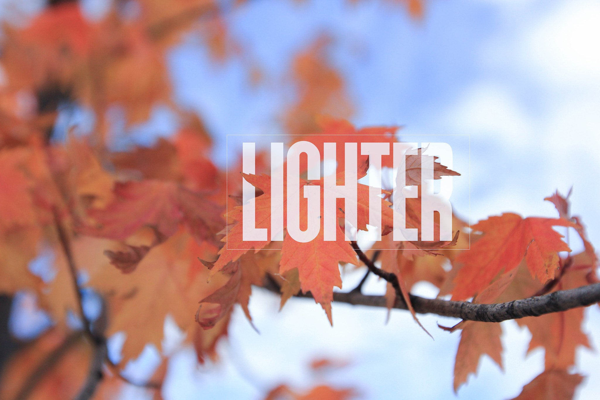 Canon EF 16-35mm F2.8L II USM sample photo. The portland fall photography