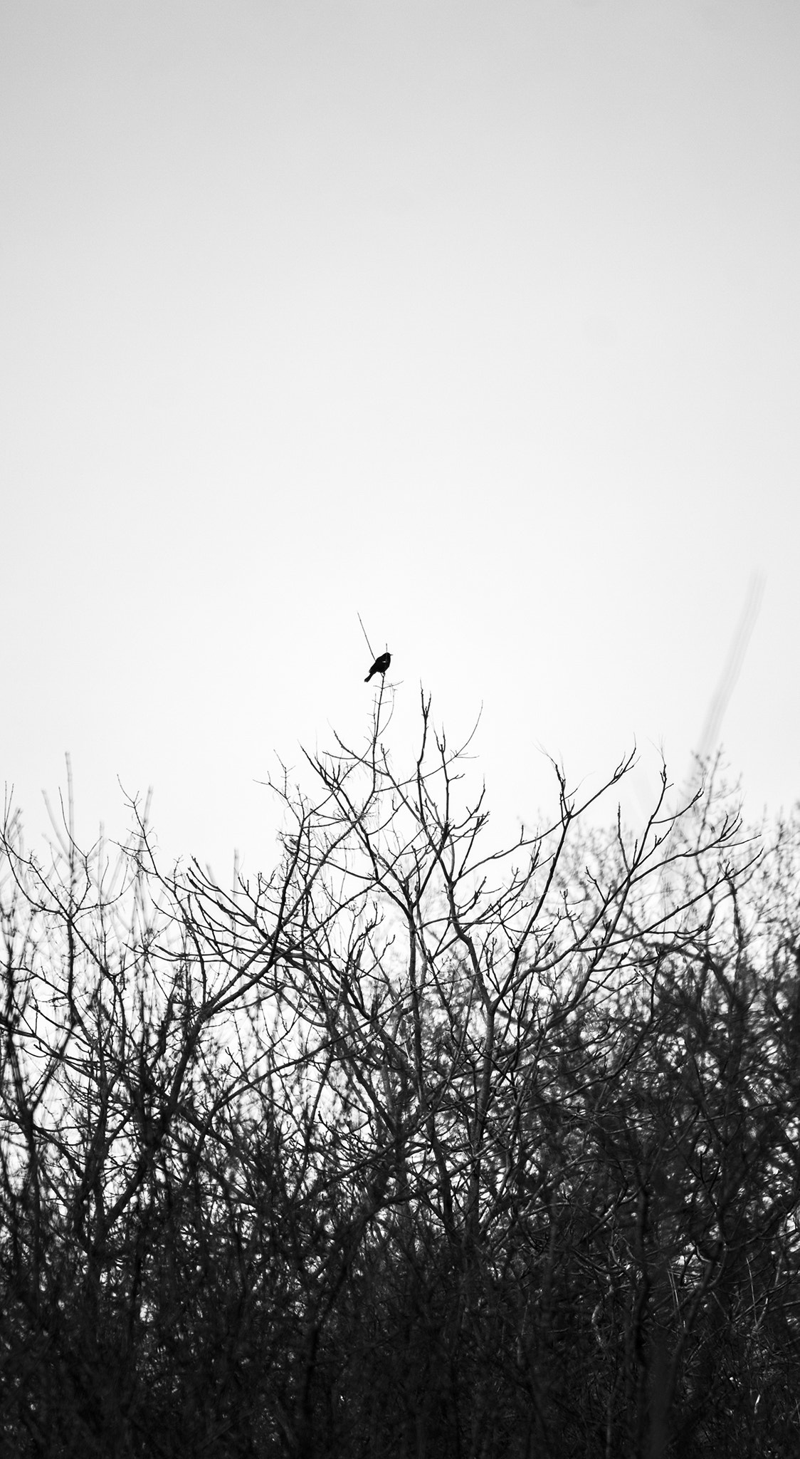Canon EF-S 55-250mm F4-5.6 IS sample photo. Desolate photography