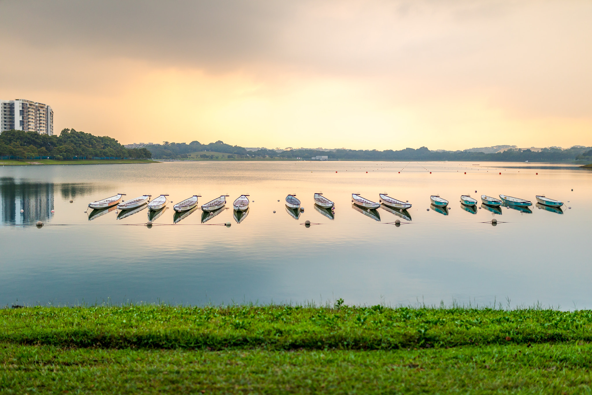 Sigma 35mm F1.4 DG HSM Art sample photo. Bedok reservoir park (singapore) photography