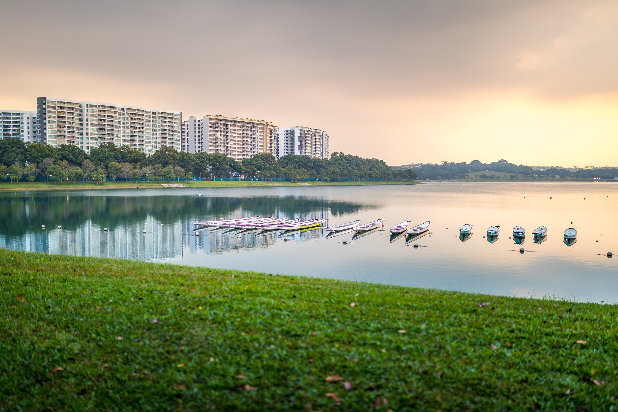 Sigma 35mm F1.4 DG HSM Art sample photo. Bedok reservoir park (singapore) photography