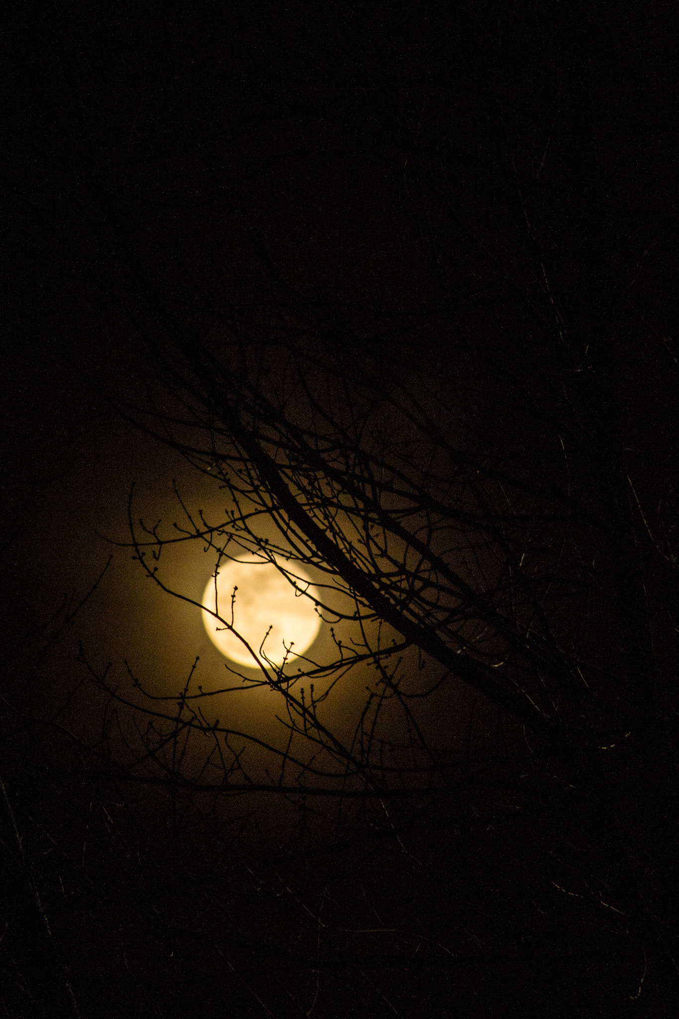 Canon EF 75-300mm f/4-5.6 USM sample photo. Witching hour photography