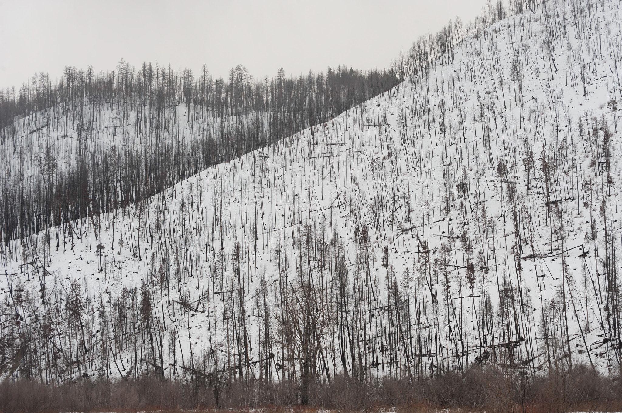 Nikon D3 sample photo. Fire damage photography