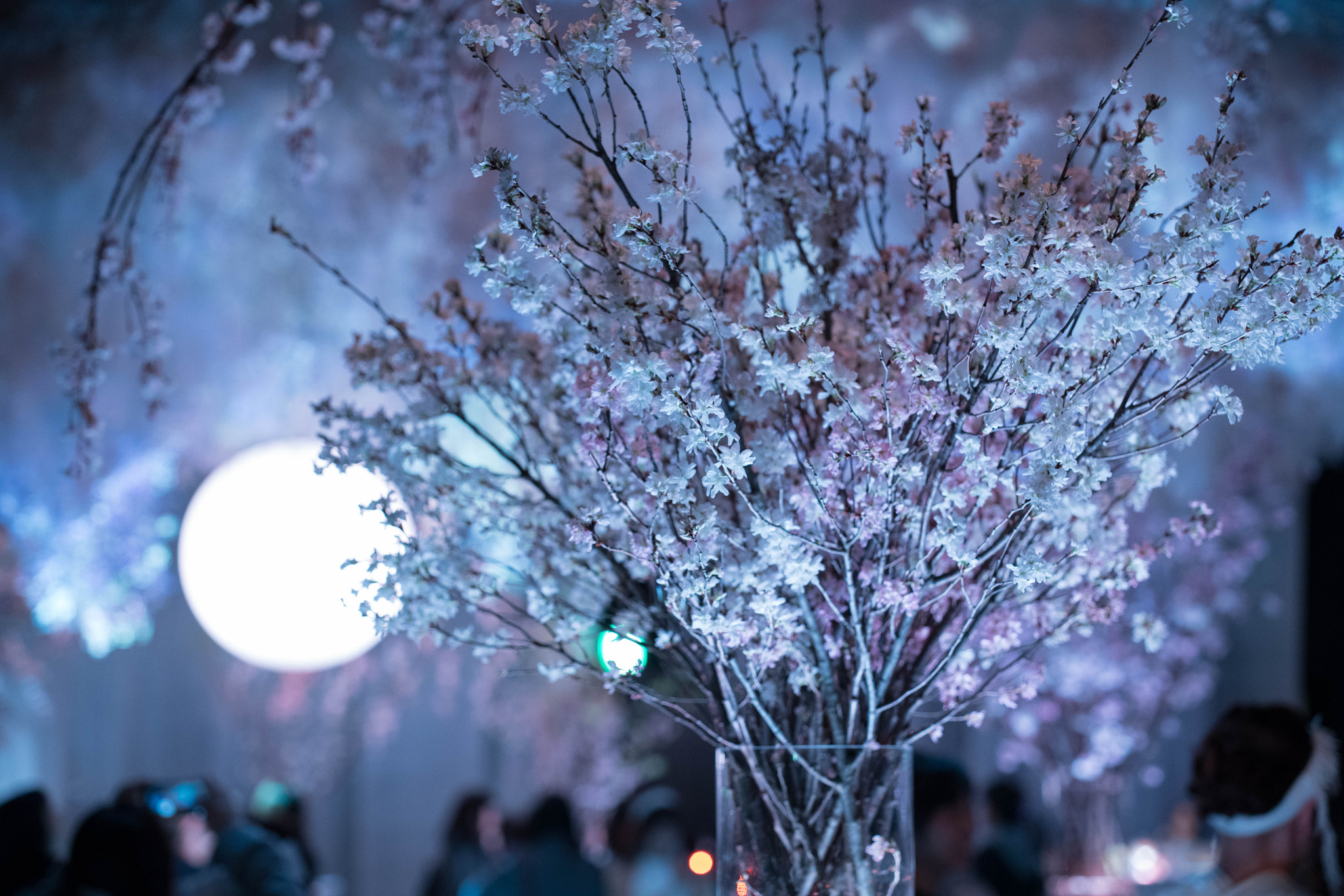 ZEISS Otus 55mm F1.4 sample photo. Tokyo photography