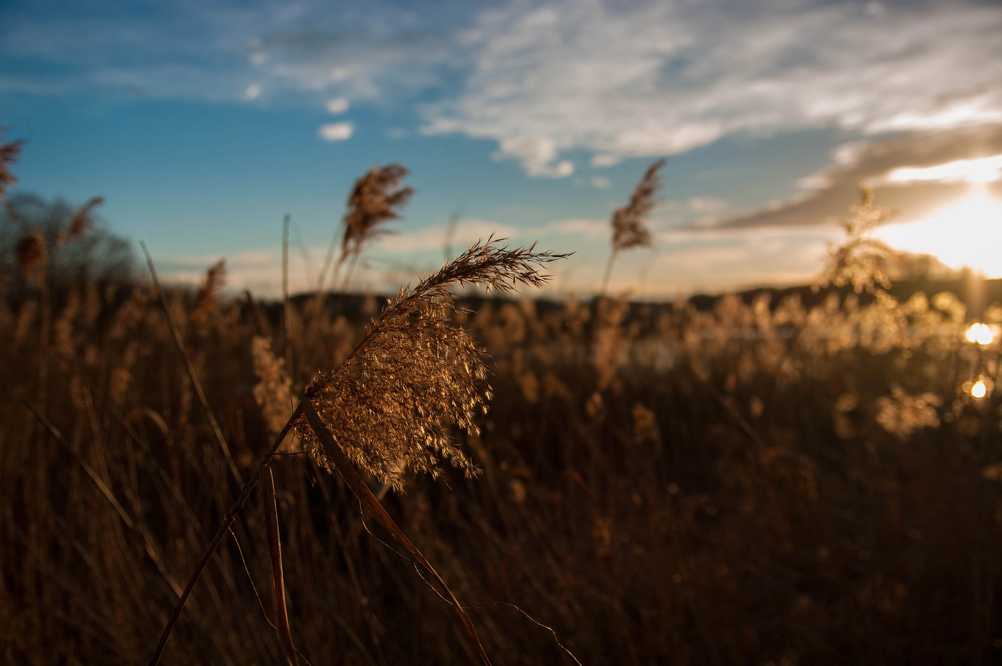 Pentax K20D sample photo. At the lake photography