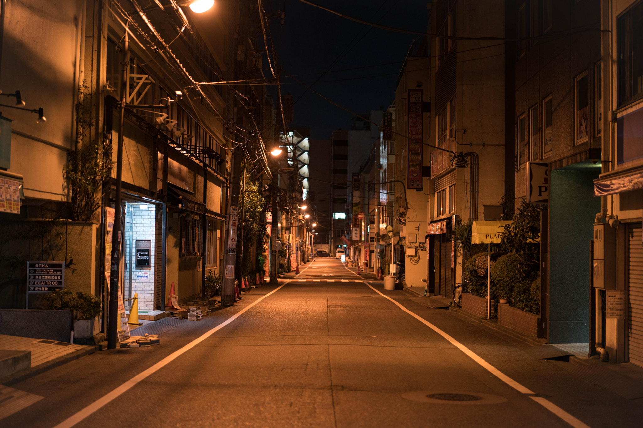ZEISS Otus 55mm F1.4 sample photo. Akihabara midnight photography