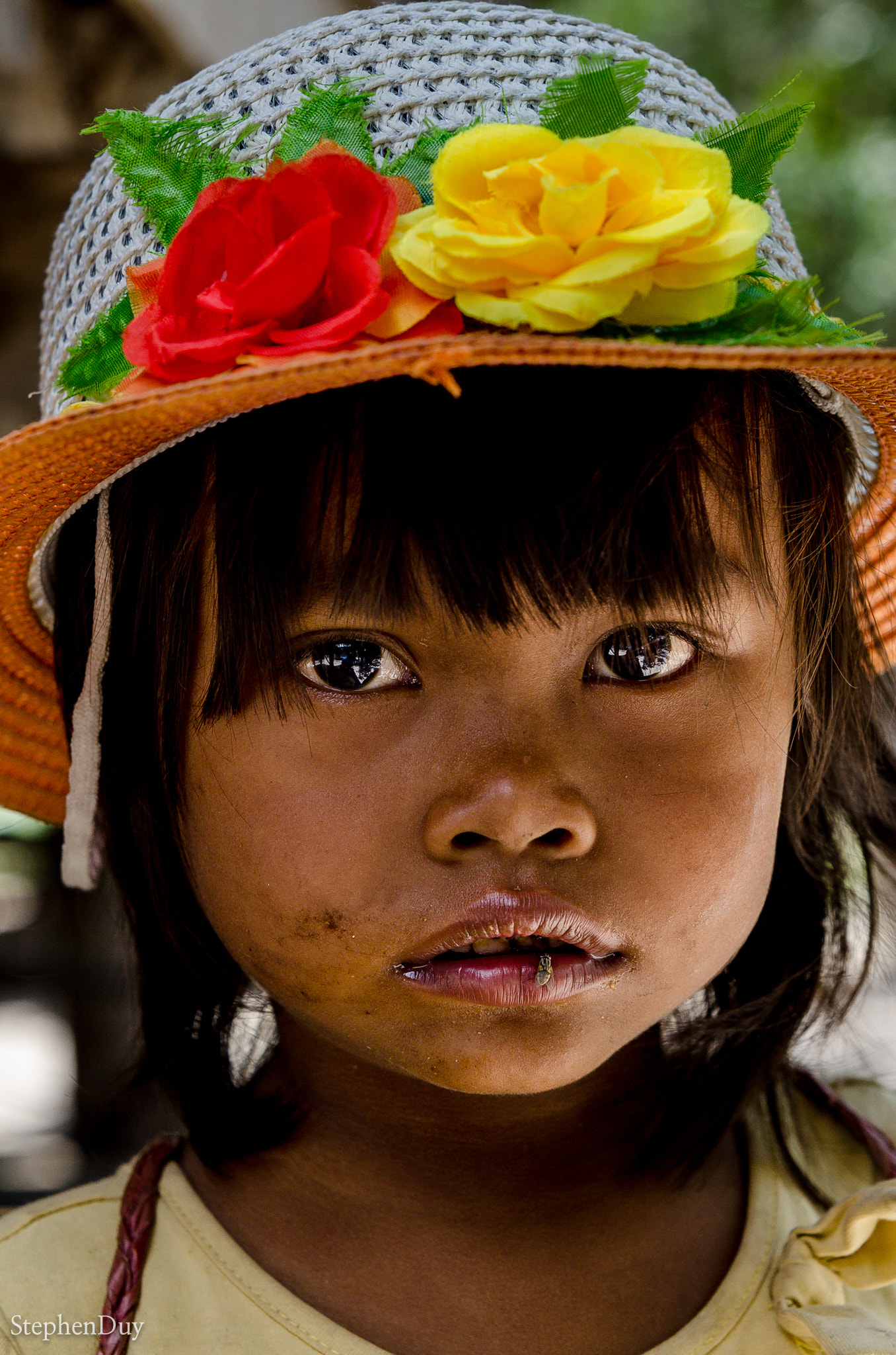 Nikon D7000 + Sigma 24-70mm F2.8 EX DG HSM sample photo. The girl and the fly photography