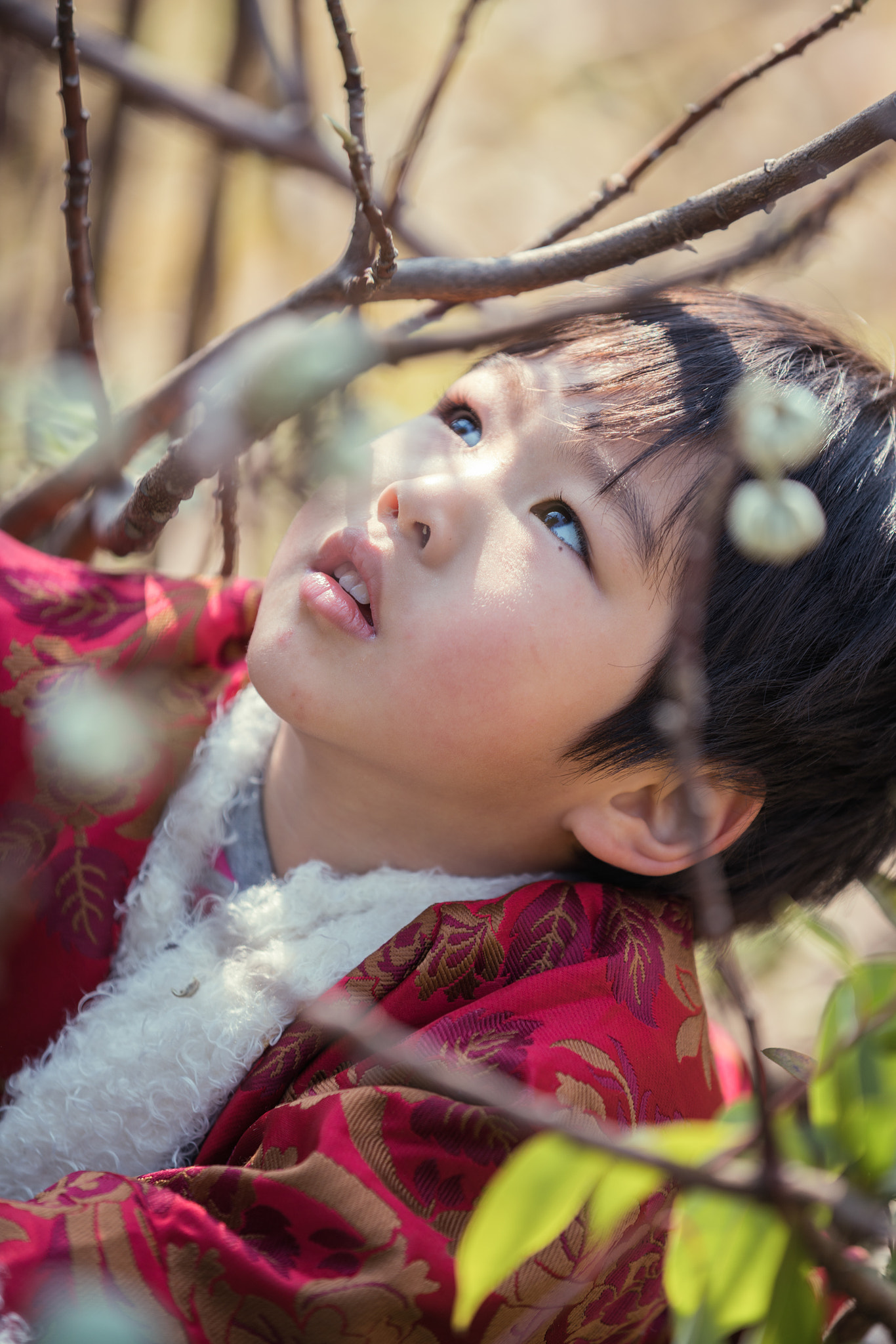 Canon EF 70-200mm F2.8L IS II USM sample photo