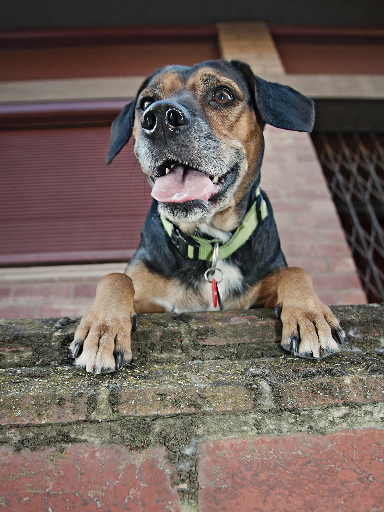 Nikon D300S sample photo. Tex photography