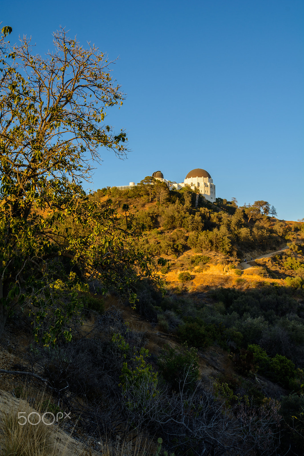 Nikon D7100 sample photo. Sunset from the griffith observatory photography
