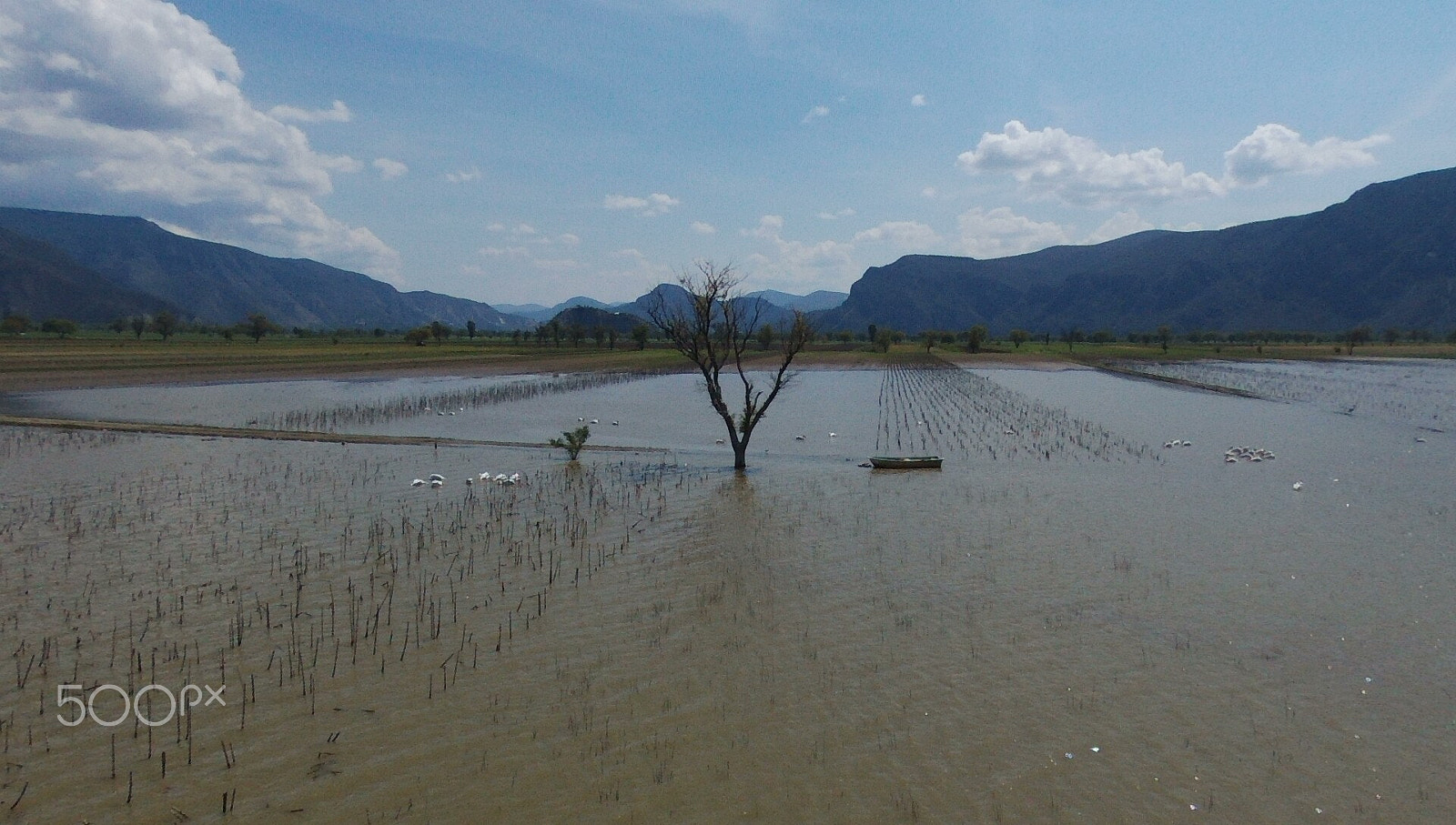 PARROT Bebop 2 sample photo. Biosphere metztitlan photography