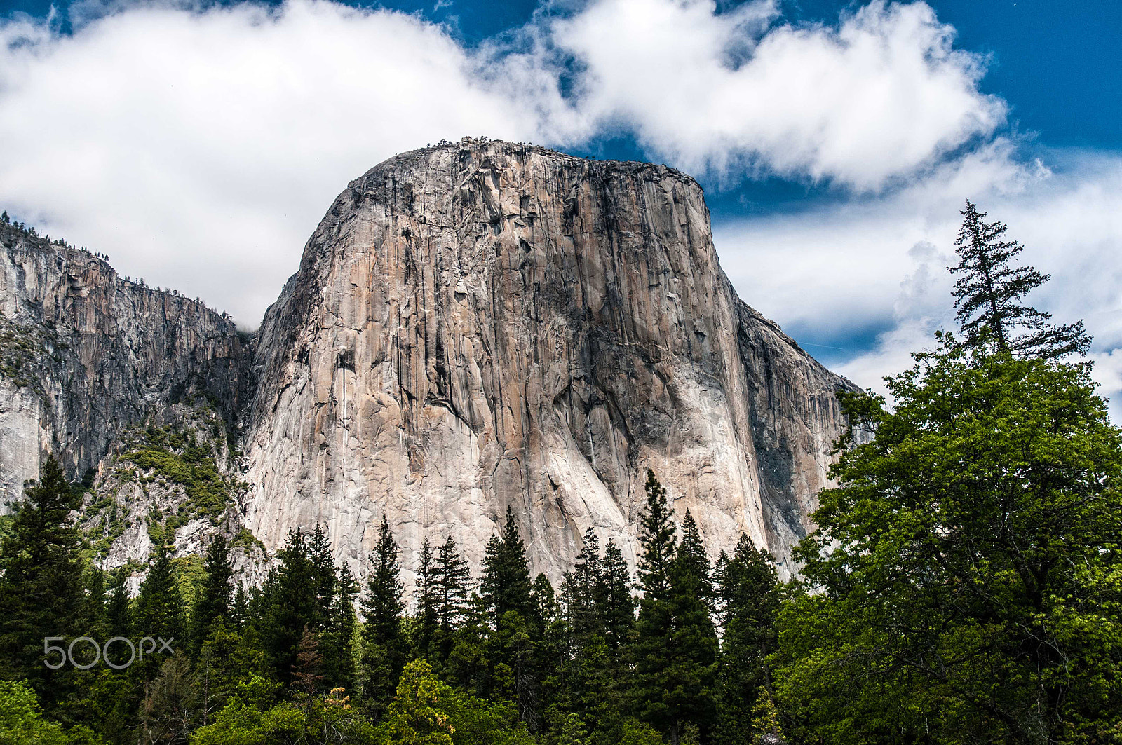 Nikon D300S sample photo. Yosemite photography