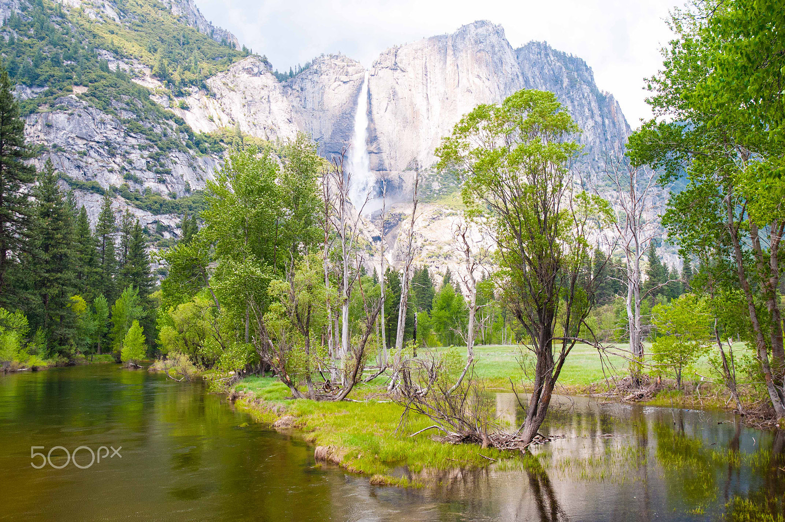 Nikon D300S sample photo. Yosemite photography
