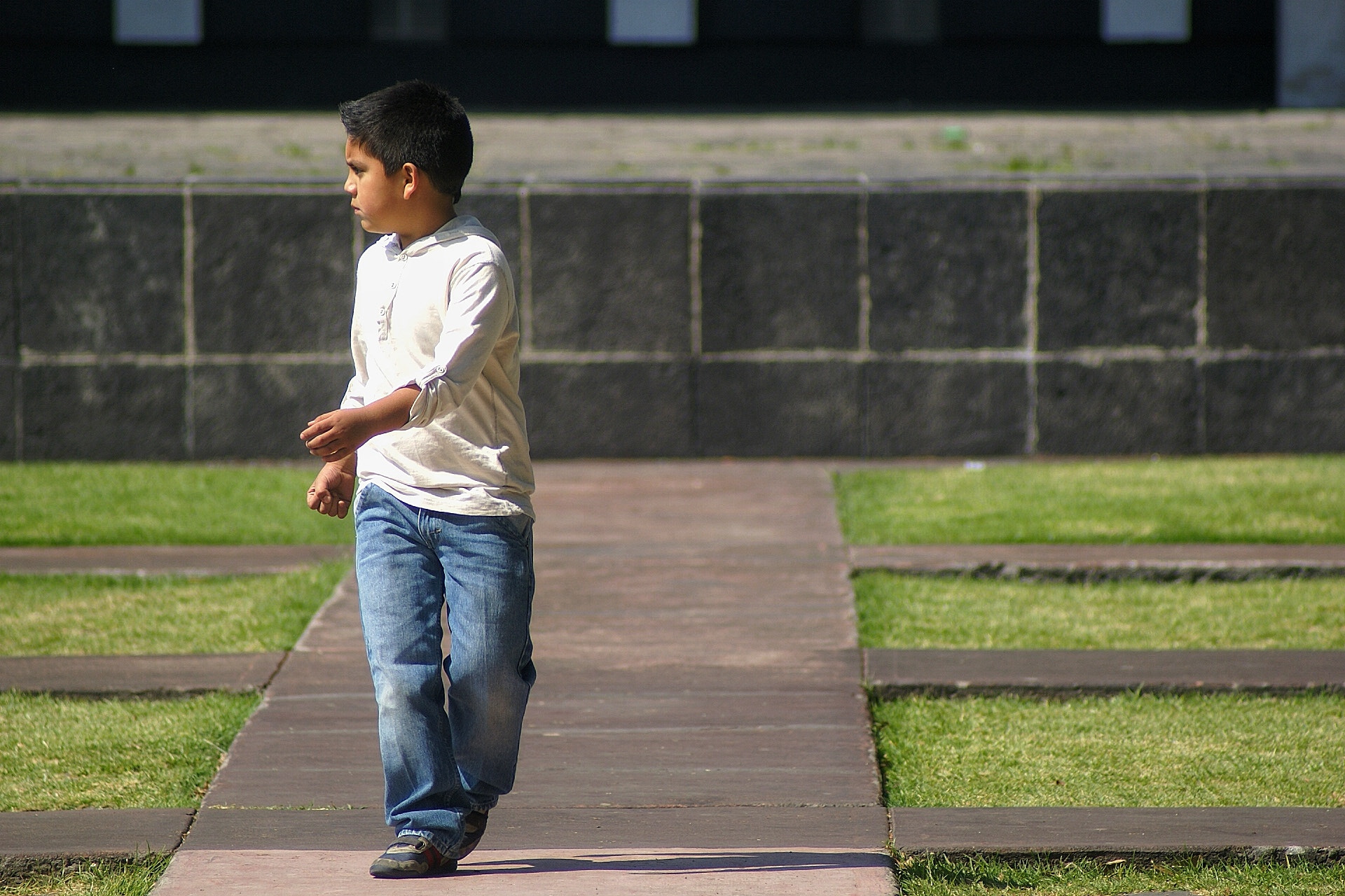 Sony 75-300mm F4.5-5.6 sample photo. Caminata en c.u. photography