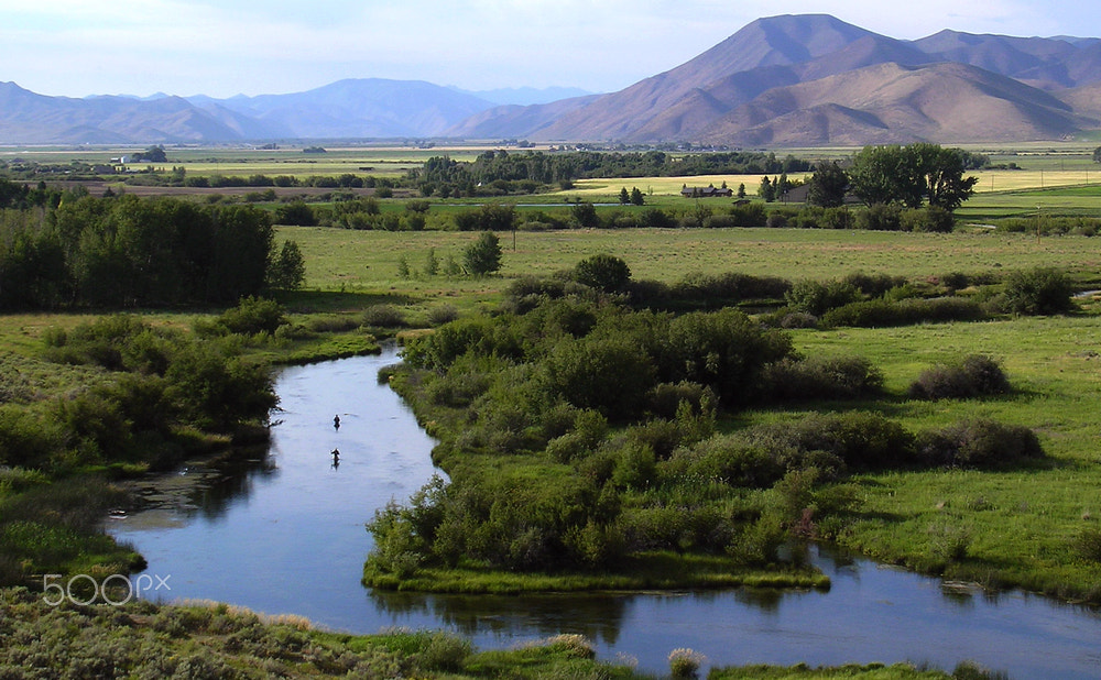 Nikon E3100 sample photo. Trout heaven in idaho's rocky mountains. photography