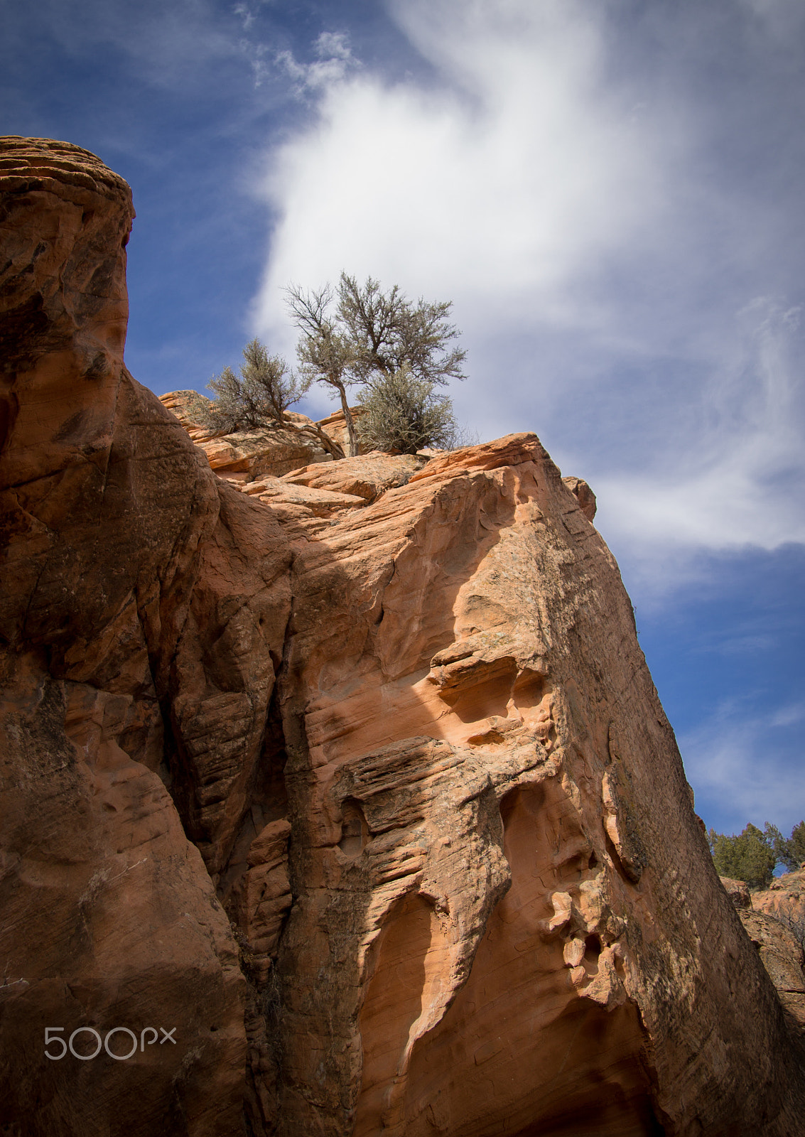 Canon EF-S 17-85mm F4-5.6 IS USM sample photo. Red ledge juniper photography