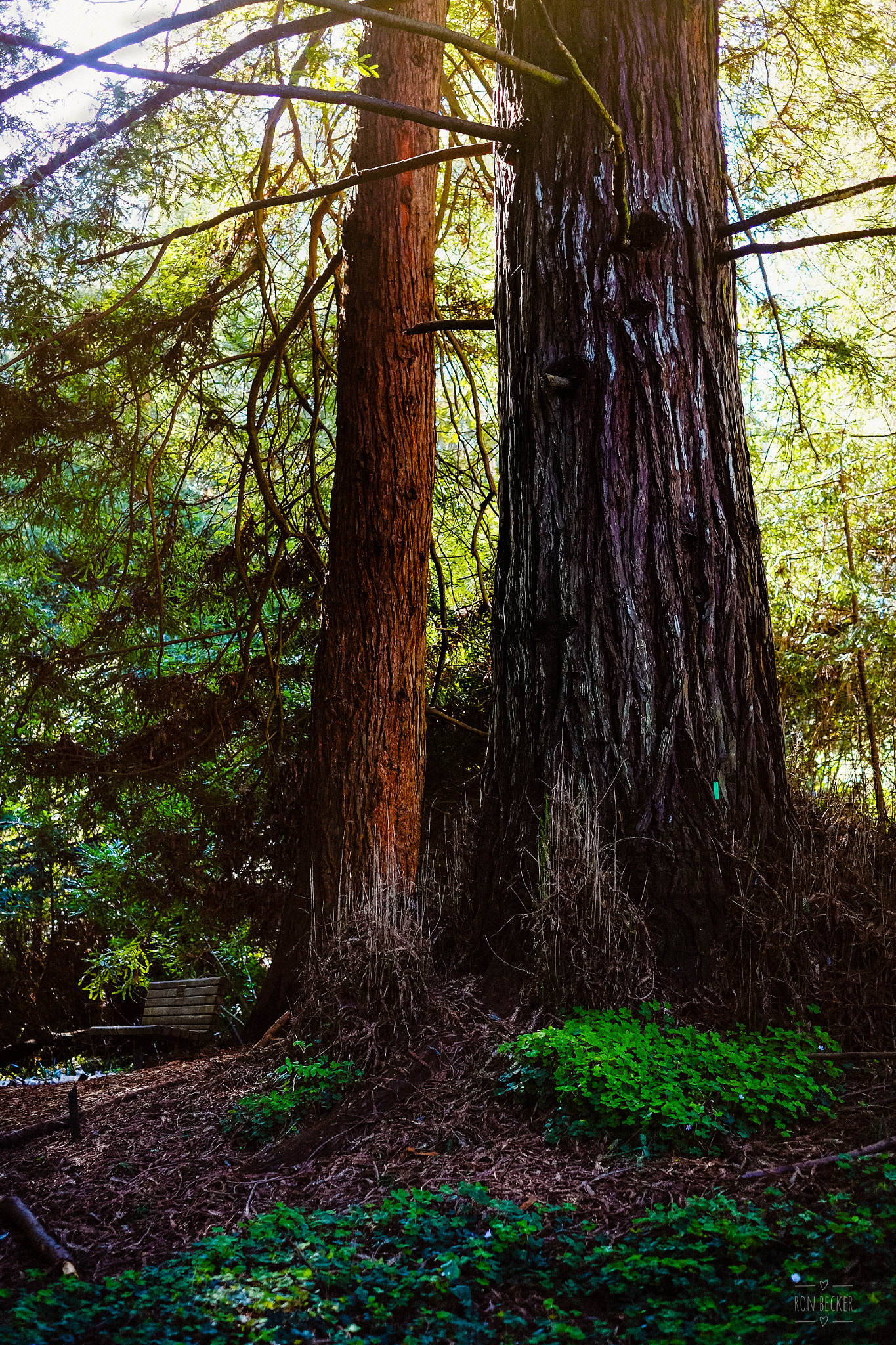 Fujifilm X-Pro1 + Fujifilm XF 35mm F1.4 R sample photo. A quiet place to sit photography