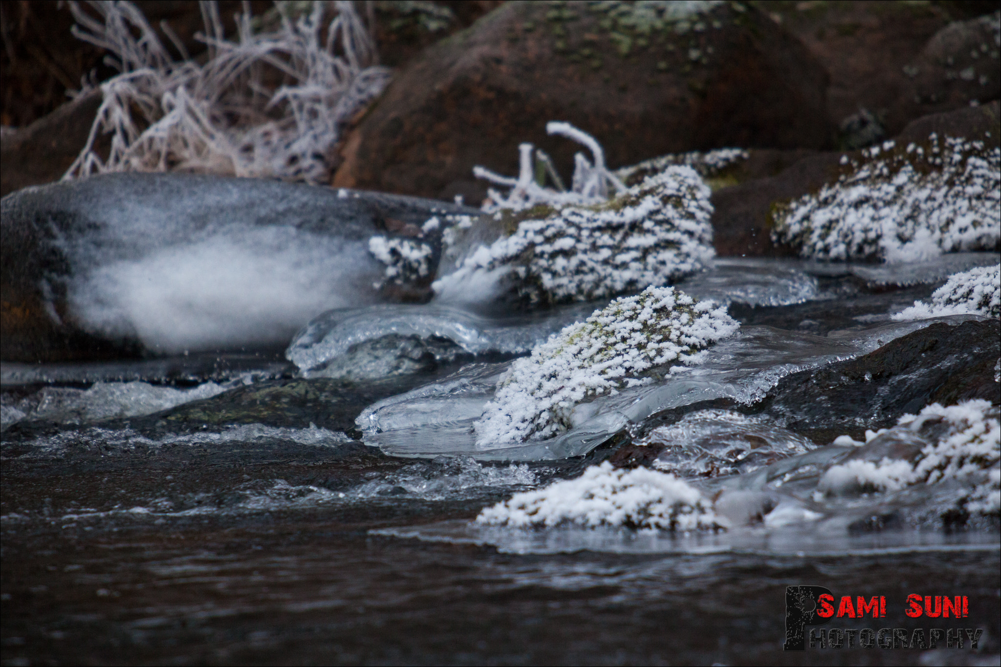 Canon EOS 5D Mark II + Canon EF 70-200mm F2.8L USM sample photo. () photography