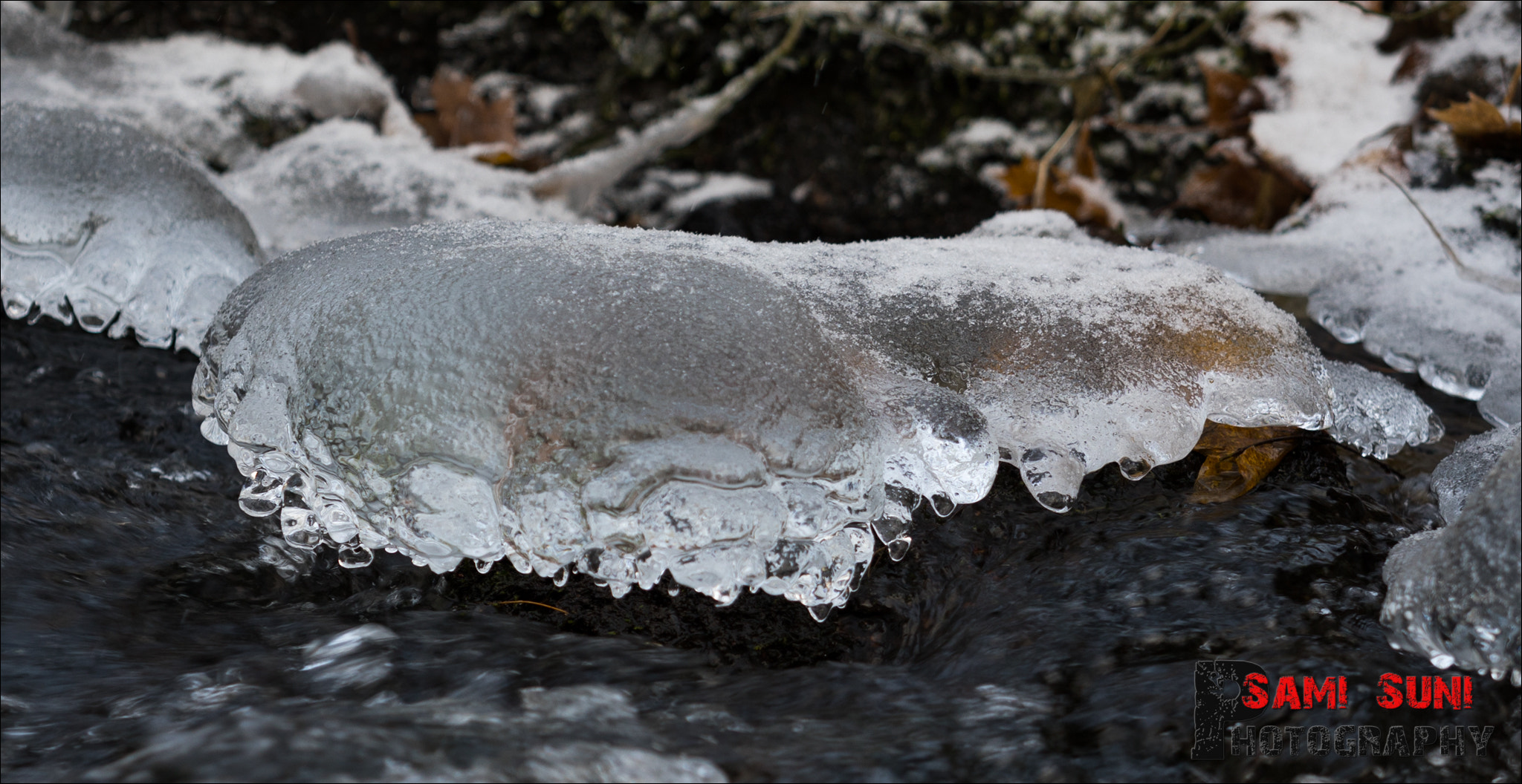 Canon EF 70-200mm F2.8L USM sample photo. Ga photography