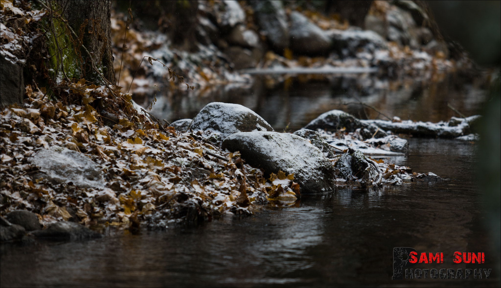 Canon EF 70-200mm F2.8L USM sample photo. Ga photography