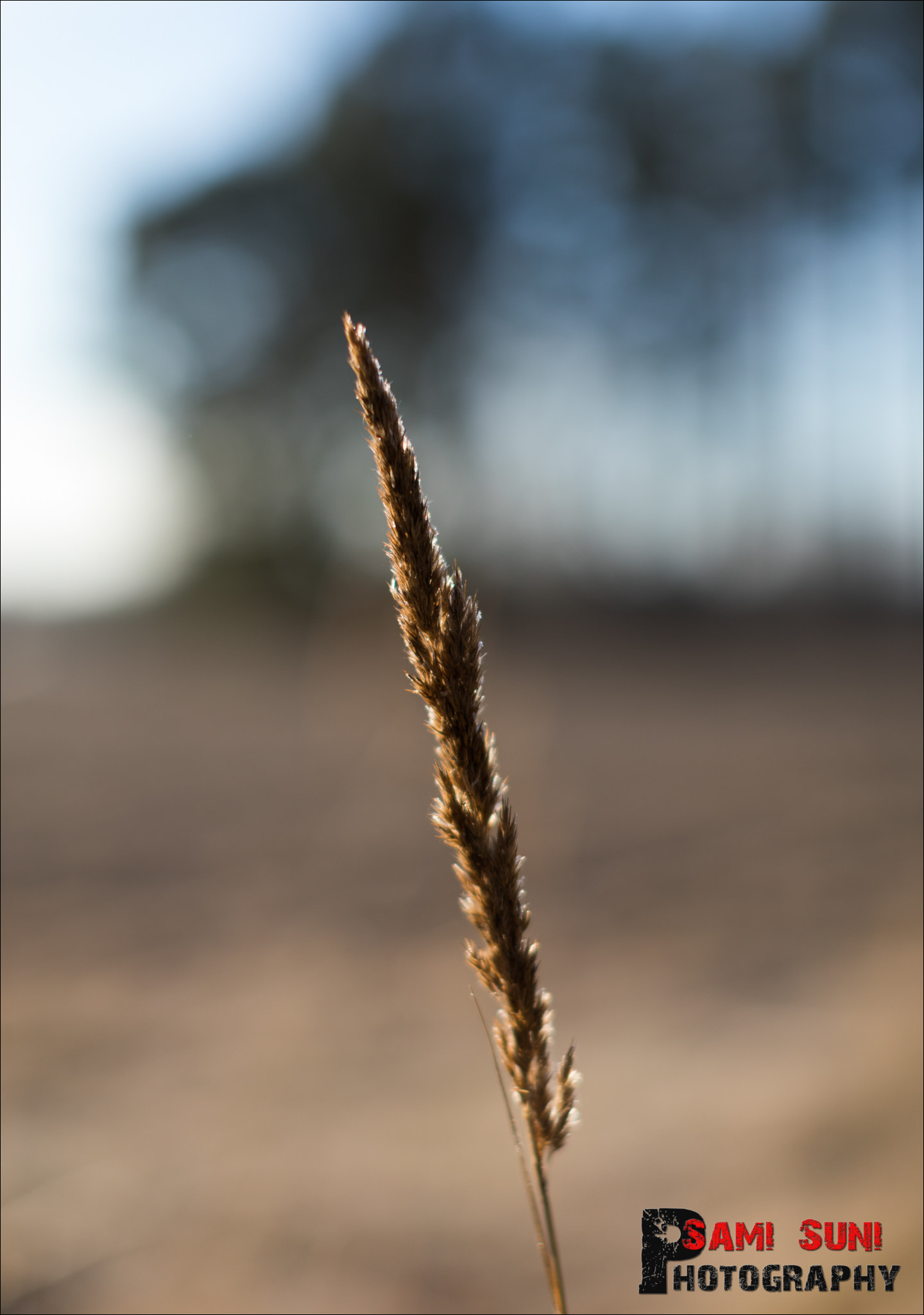 Canon EF 50mm F1.2L USM sample photo. Ga photography