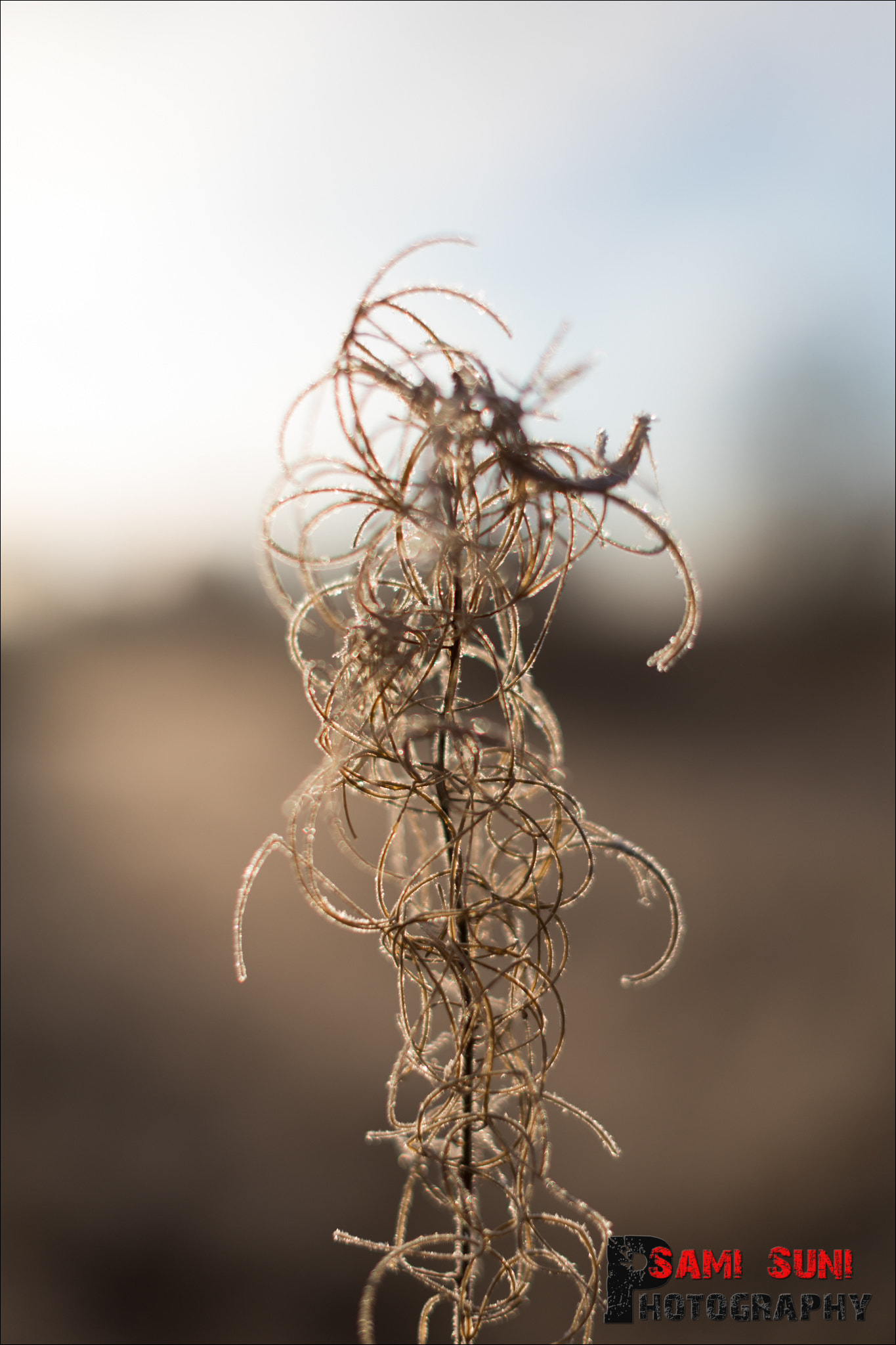 Canon EF 50mm F1.2L USM sample photo. Ga photography