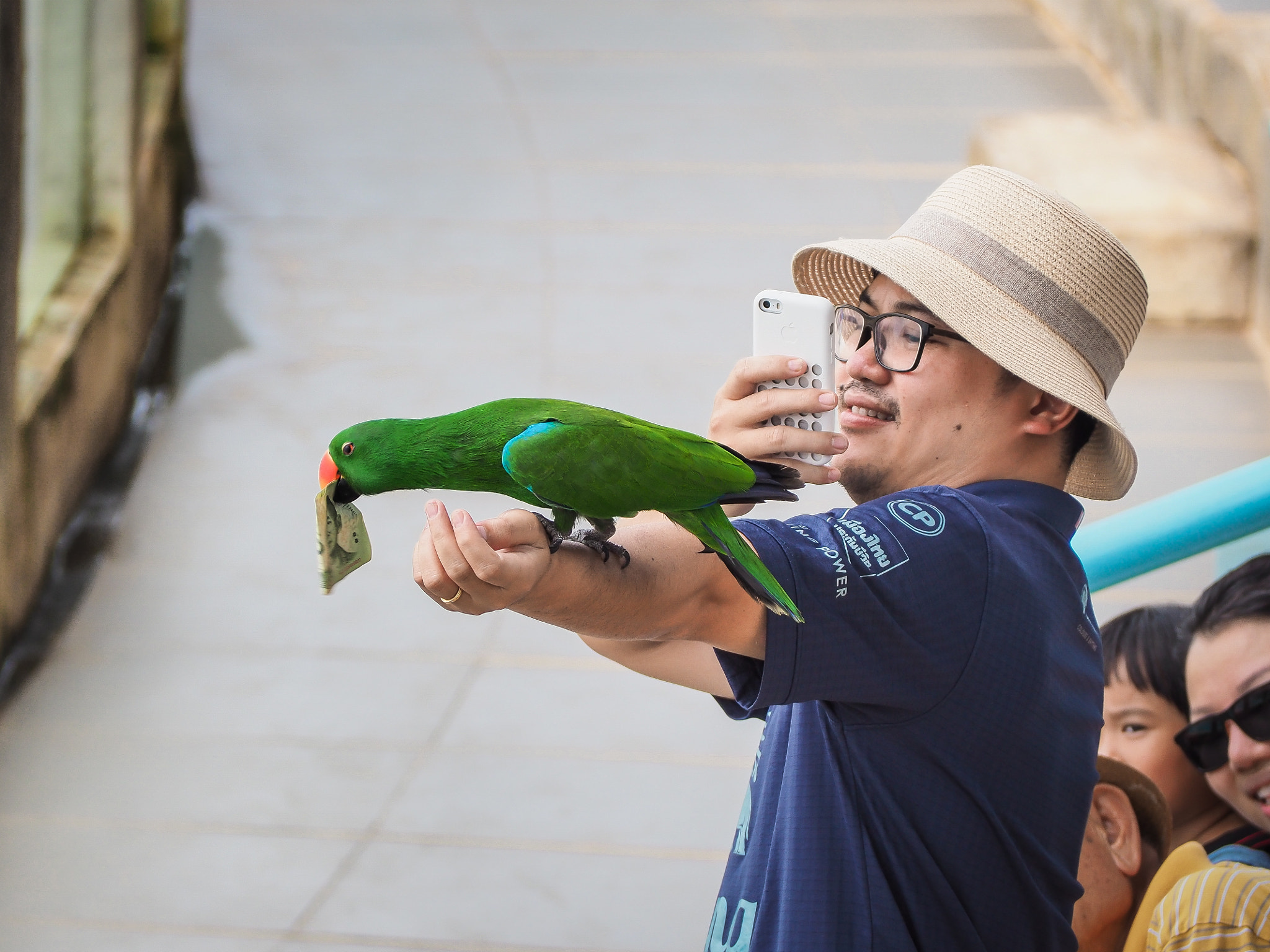 Olympus OM-D E-M10 II sample photo. Parrot photography